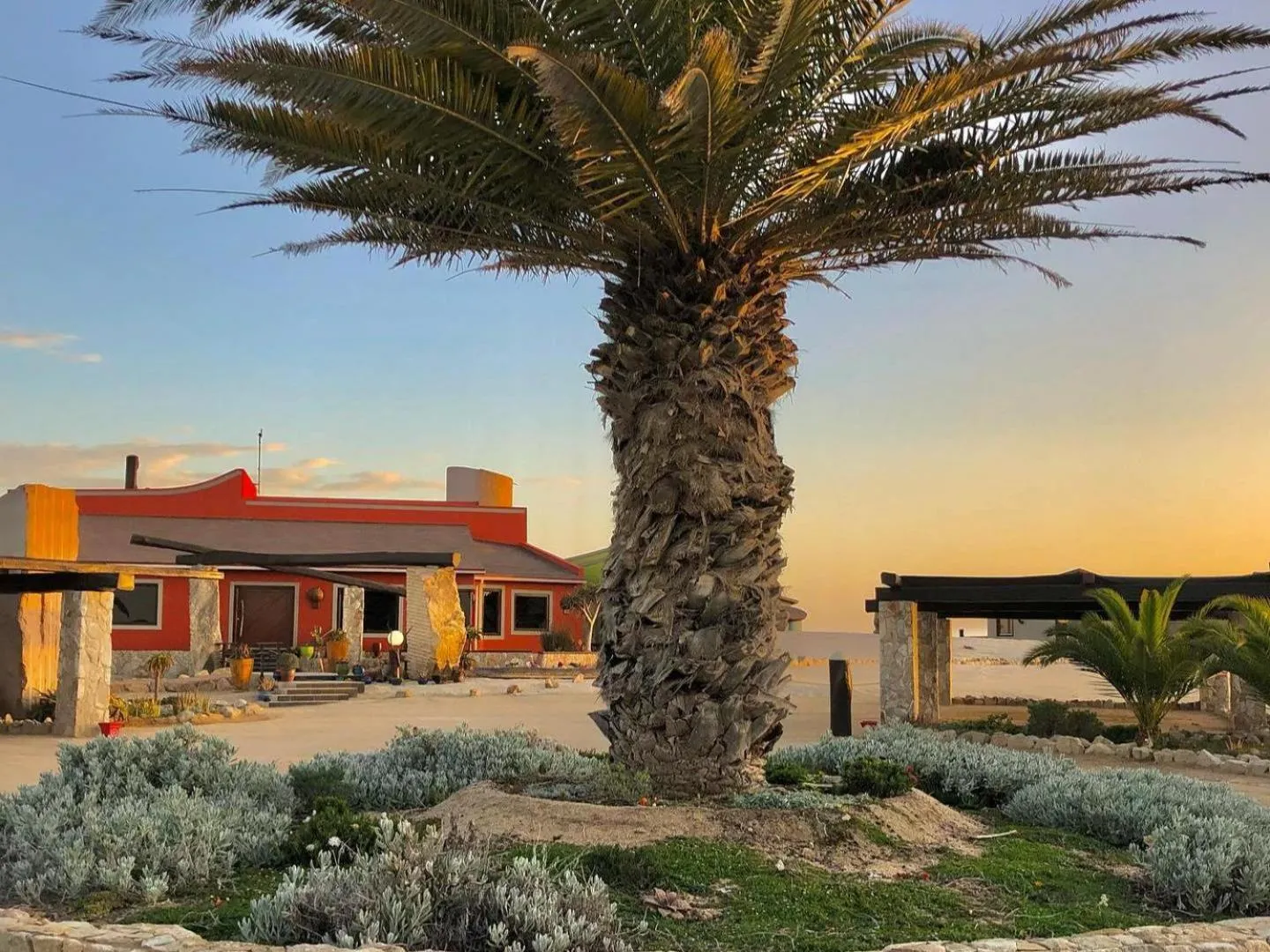 Garden in Desert Breeze Lodge