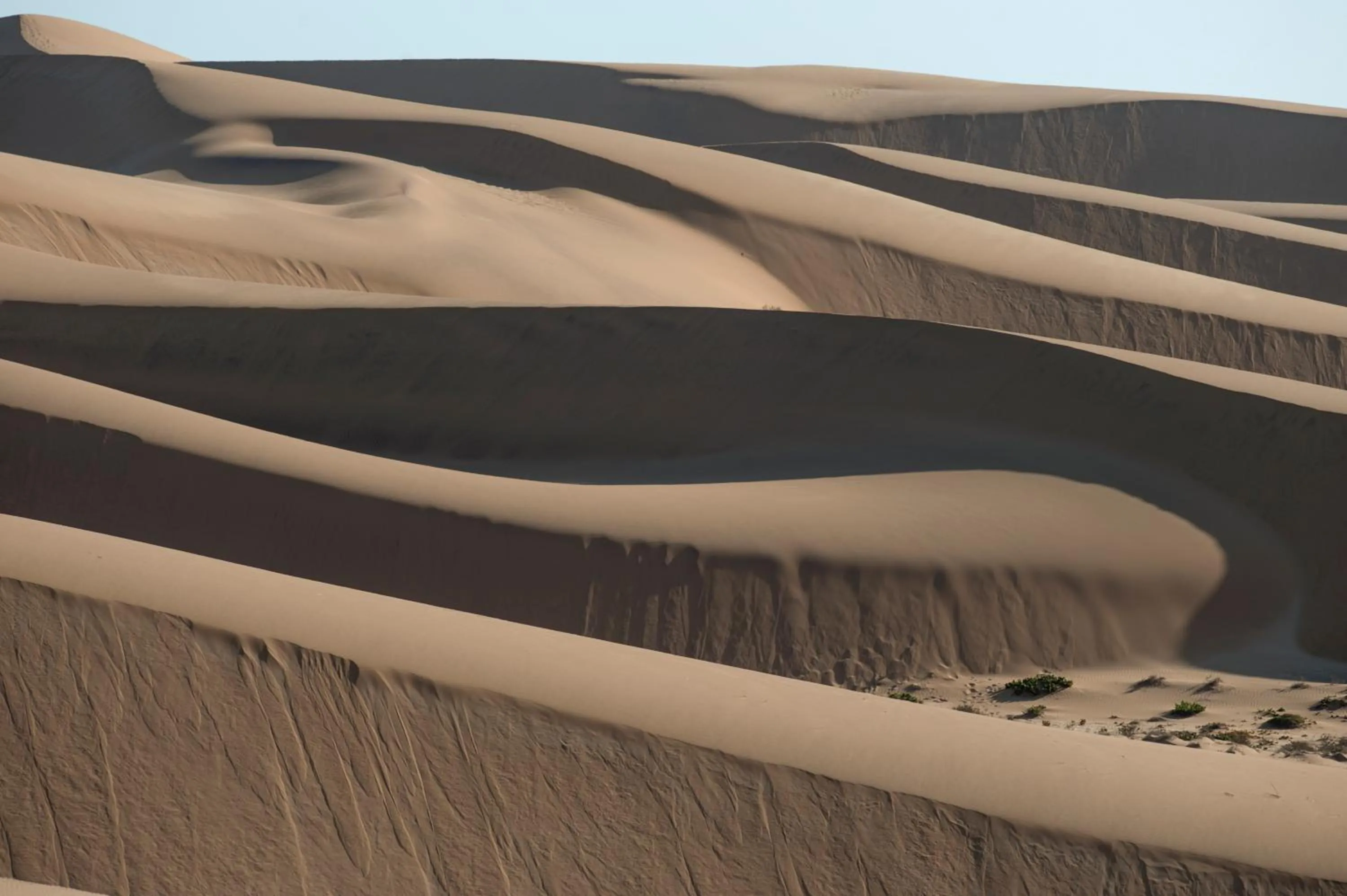 Natural landscape in Desert Breeze Lodge