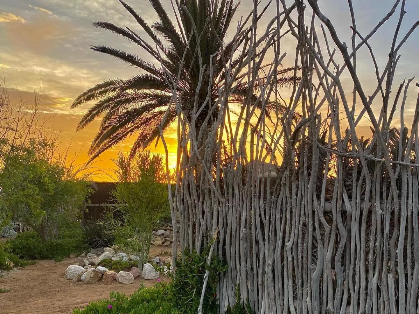 Garden in Desert Breeze Lodge