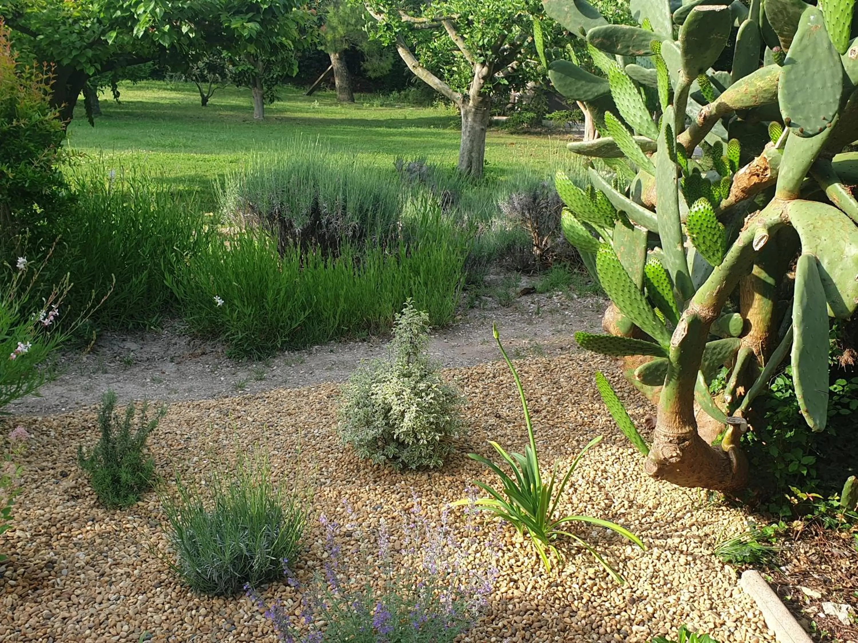 Garden in La Gourmandine