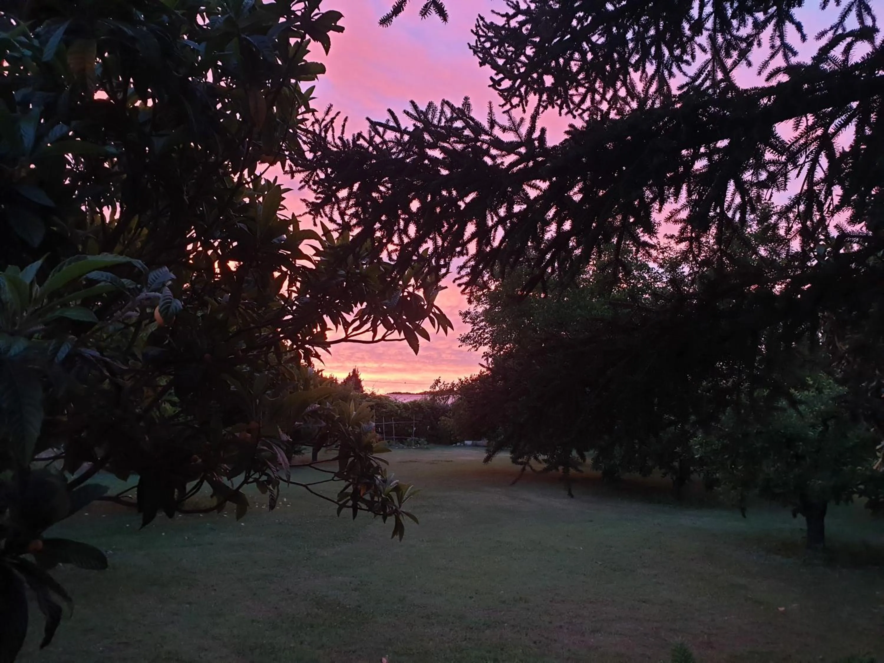 Garden in La Gourmandine