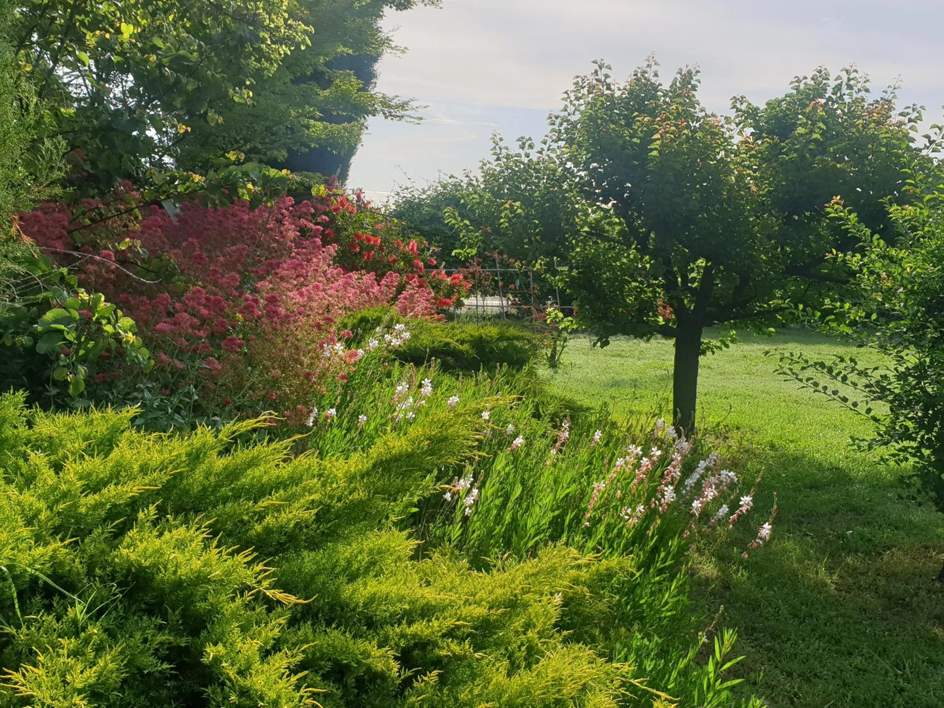 Natural landscape in La Gourmandine