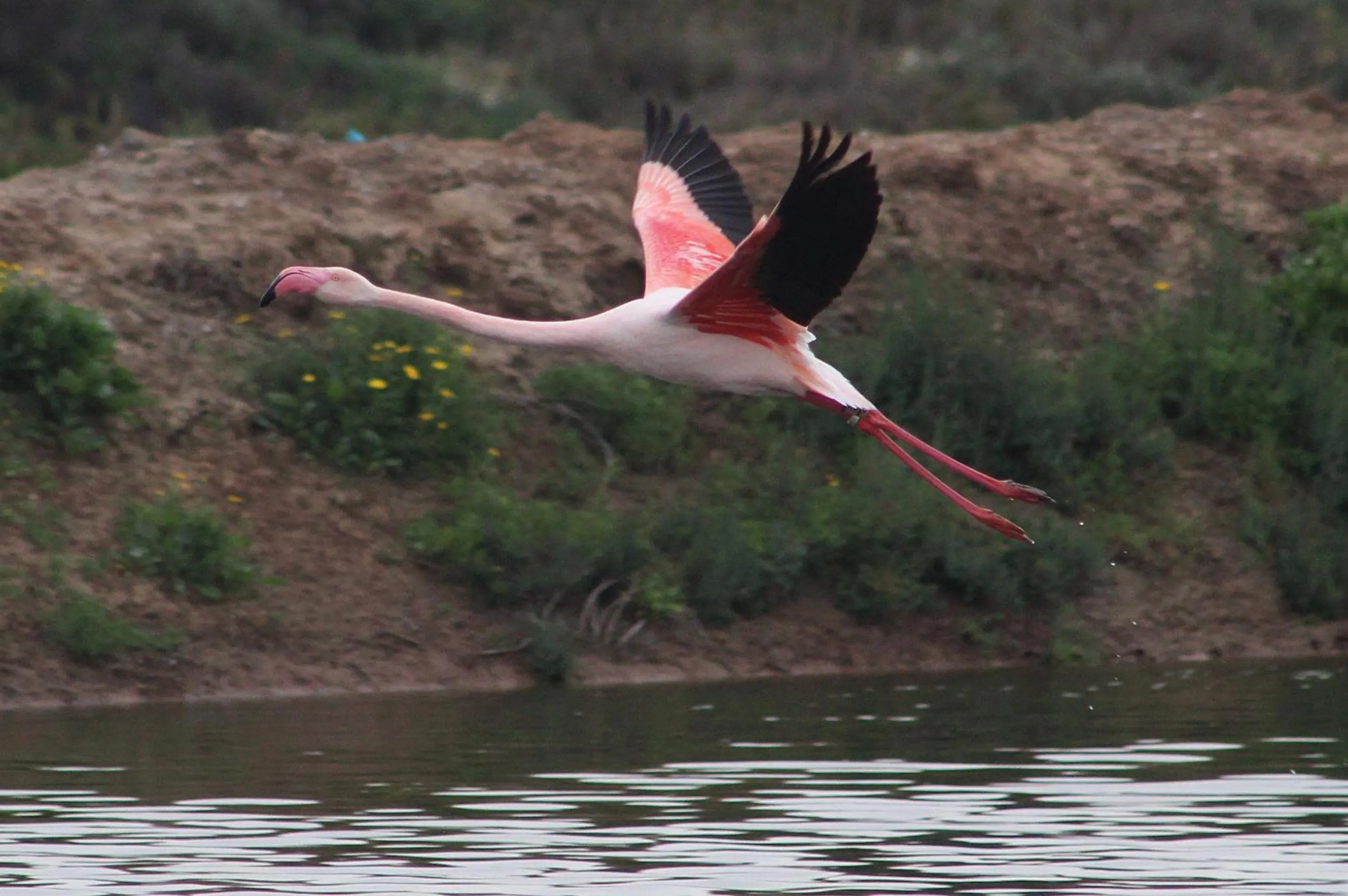 Activities in Golden Club Cabanas