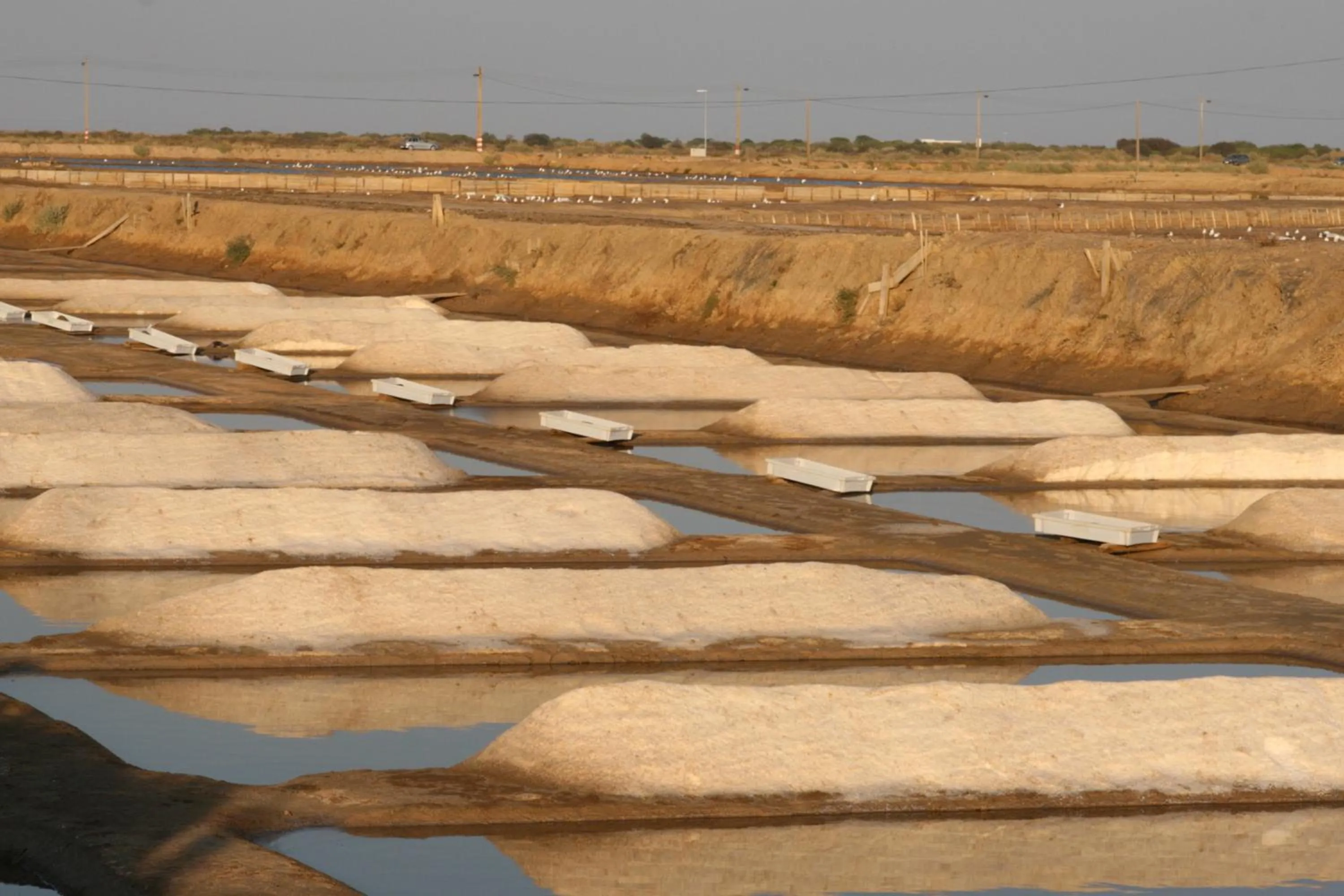 Entertainment in Golden Club Cabanas