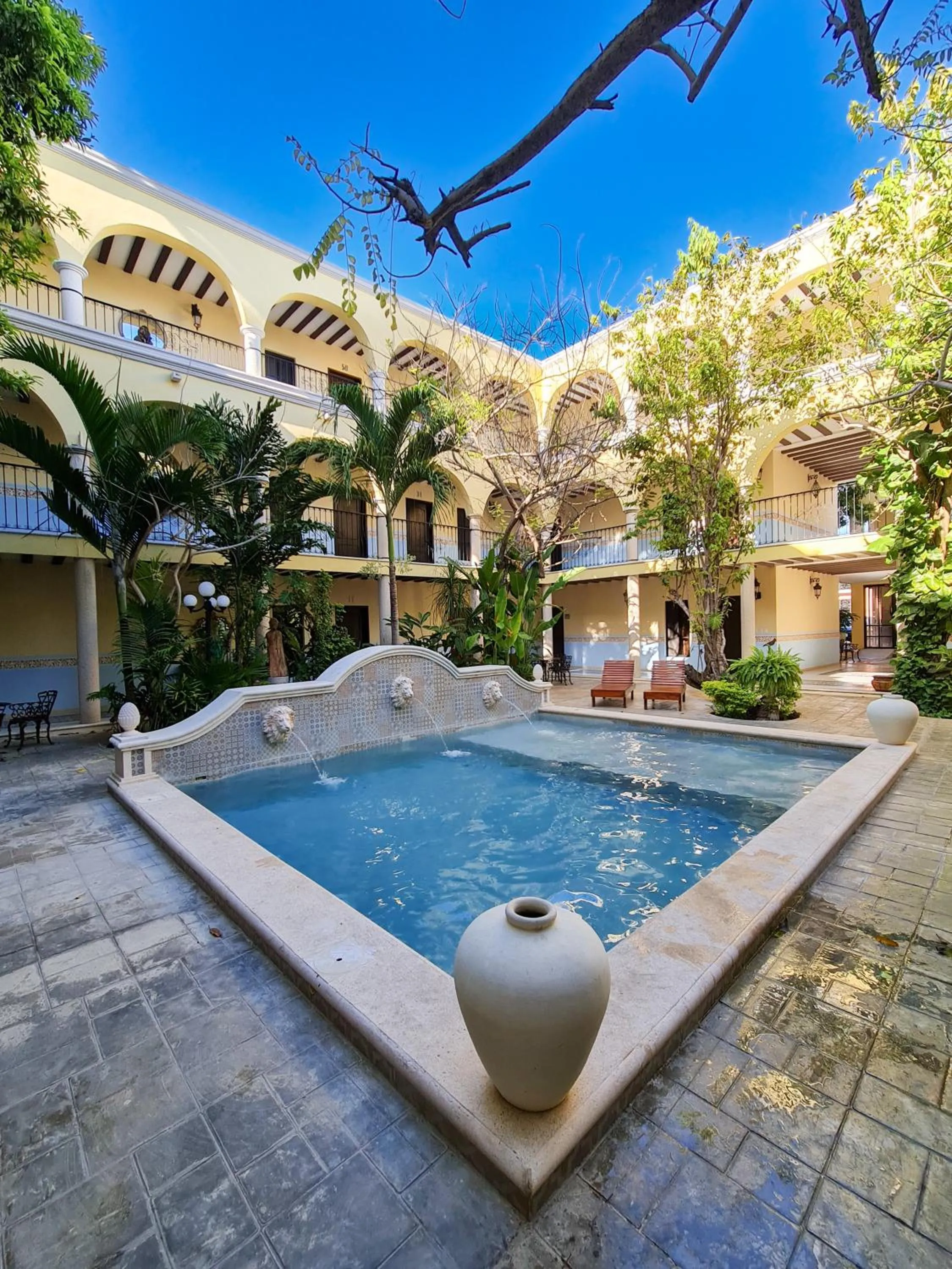 Garden view in Hotel Fundadores