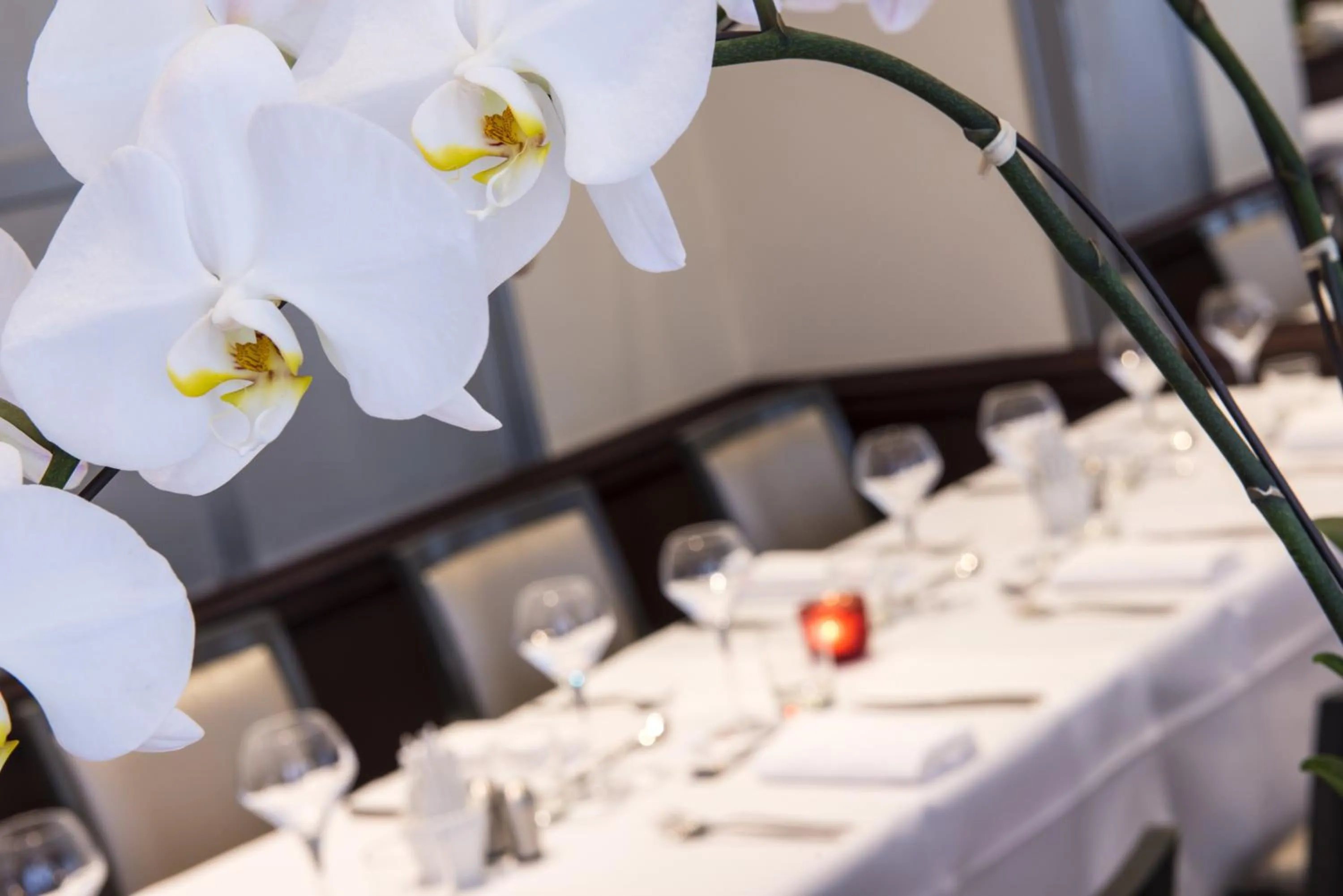 Property building in Ampère