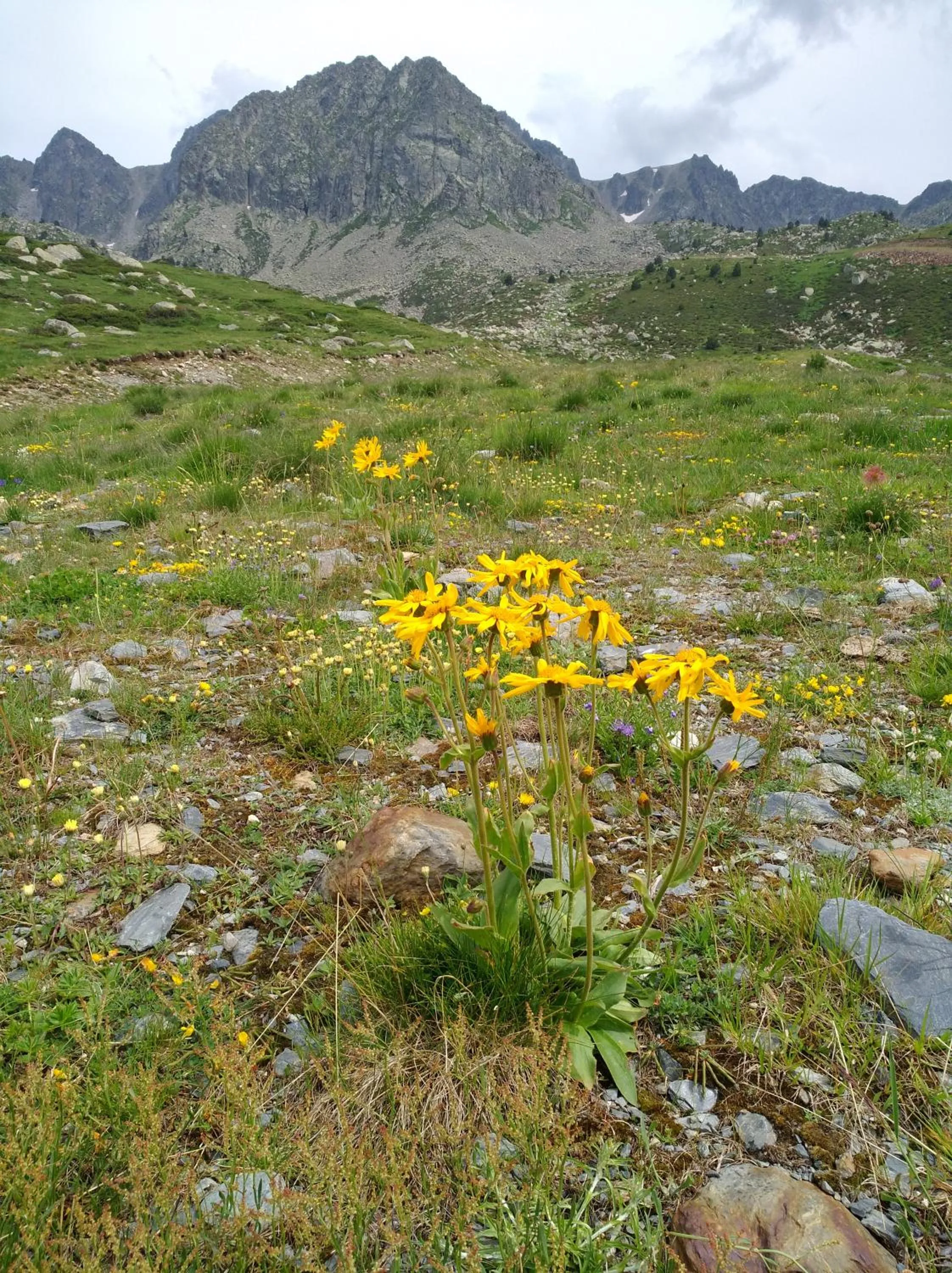 Hiking in Hotel Mirtil
