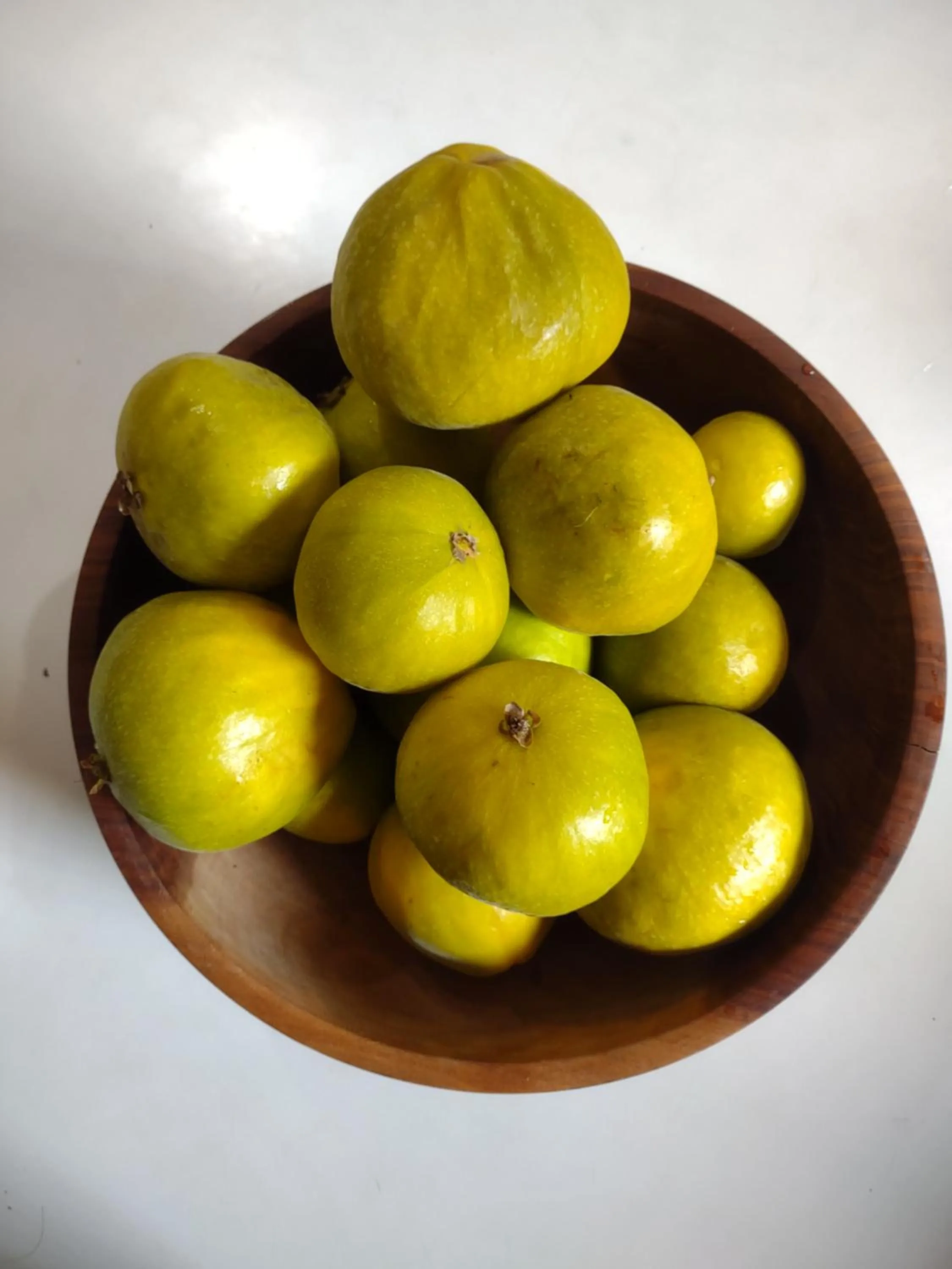 Garden in Hostal Macaw