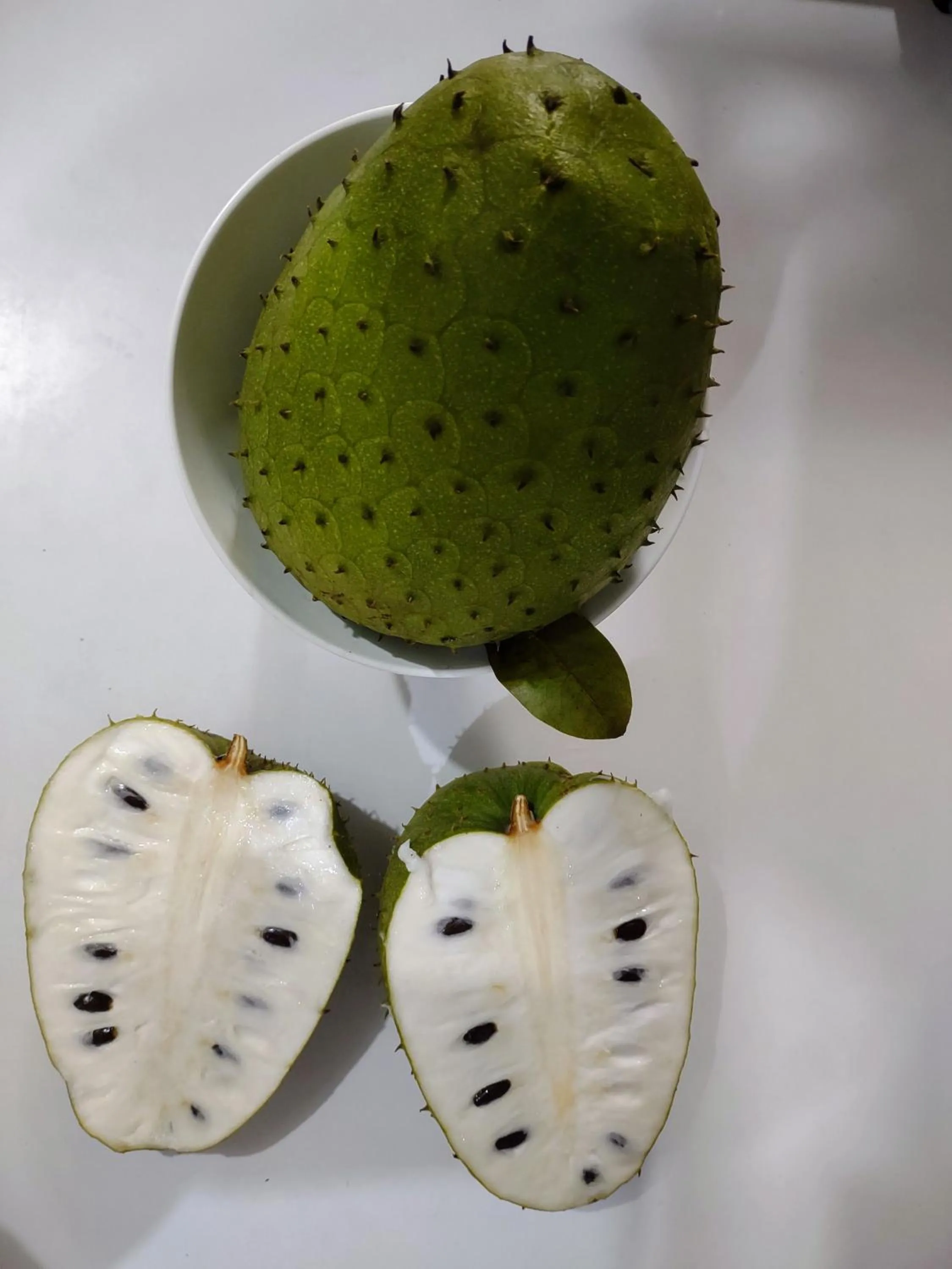 Garden in Hostal Macaw