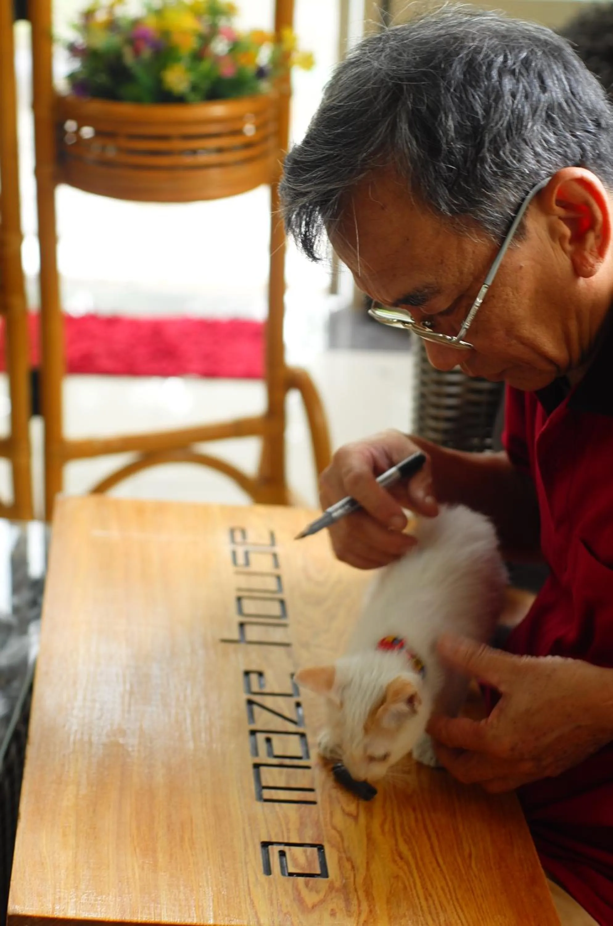 Property logo or sign in a-mâze house