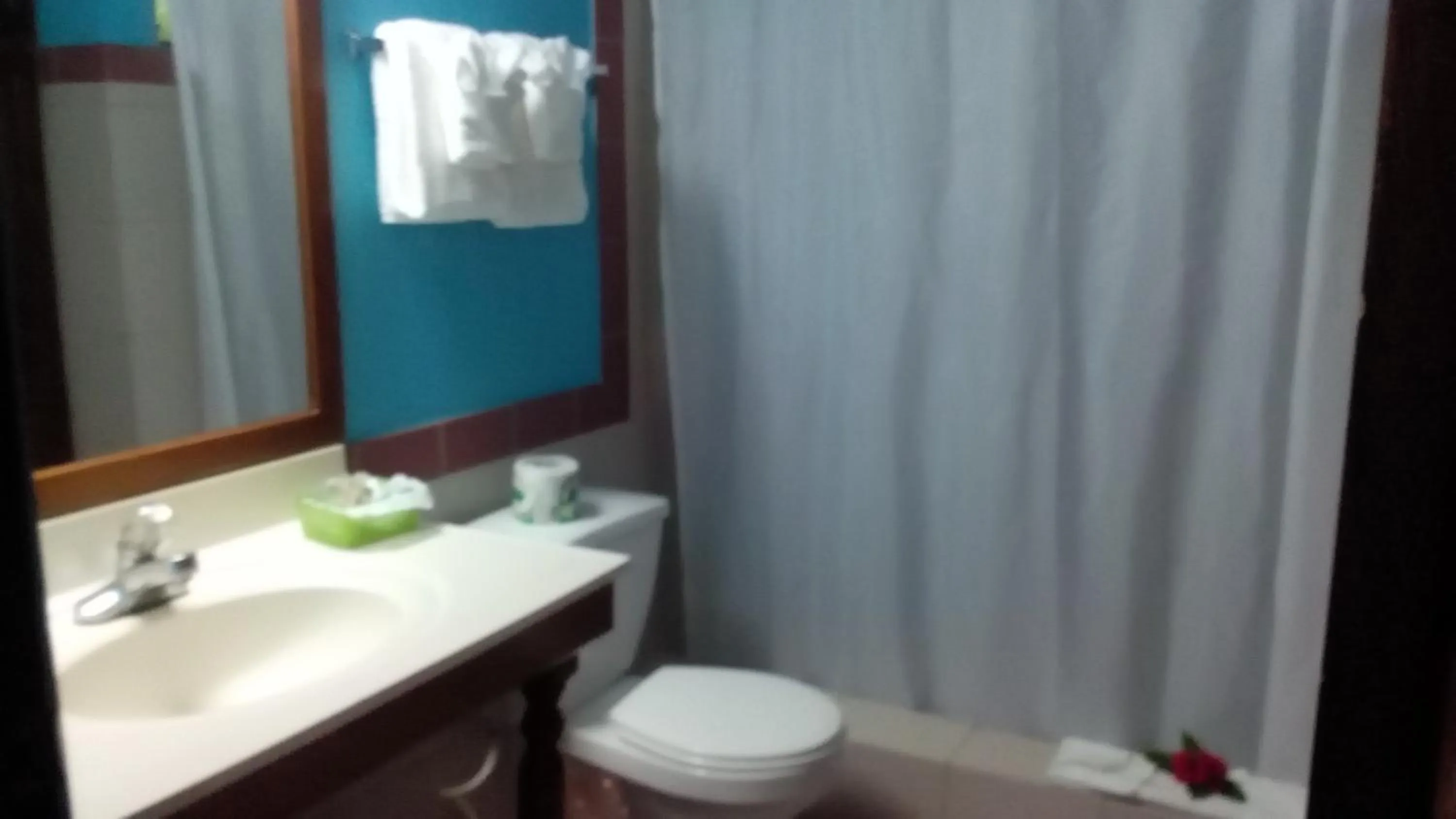 Bathroom in Coco La Palm