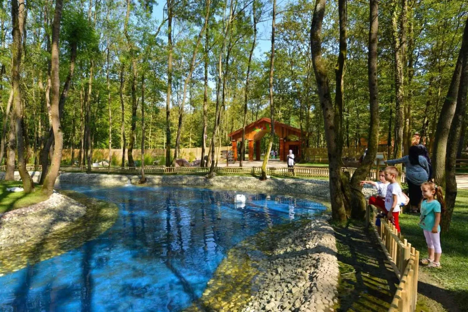 Activities in Wellborn Luxury Hotel