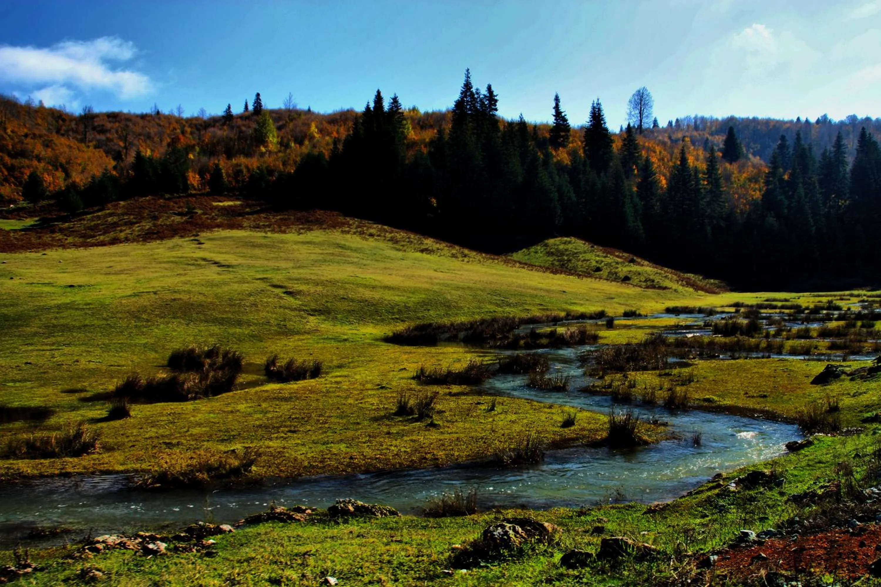 Activities in Wellborn Luxury Hotel