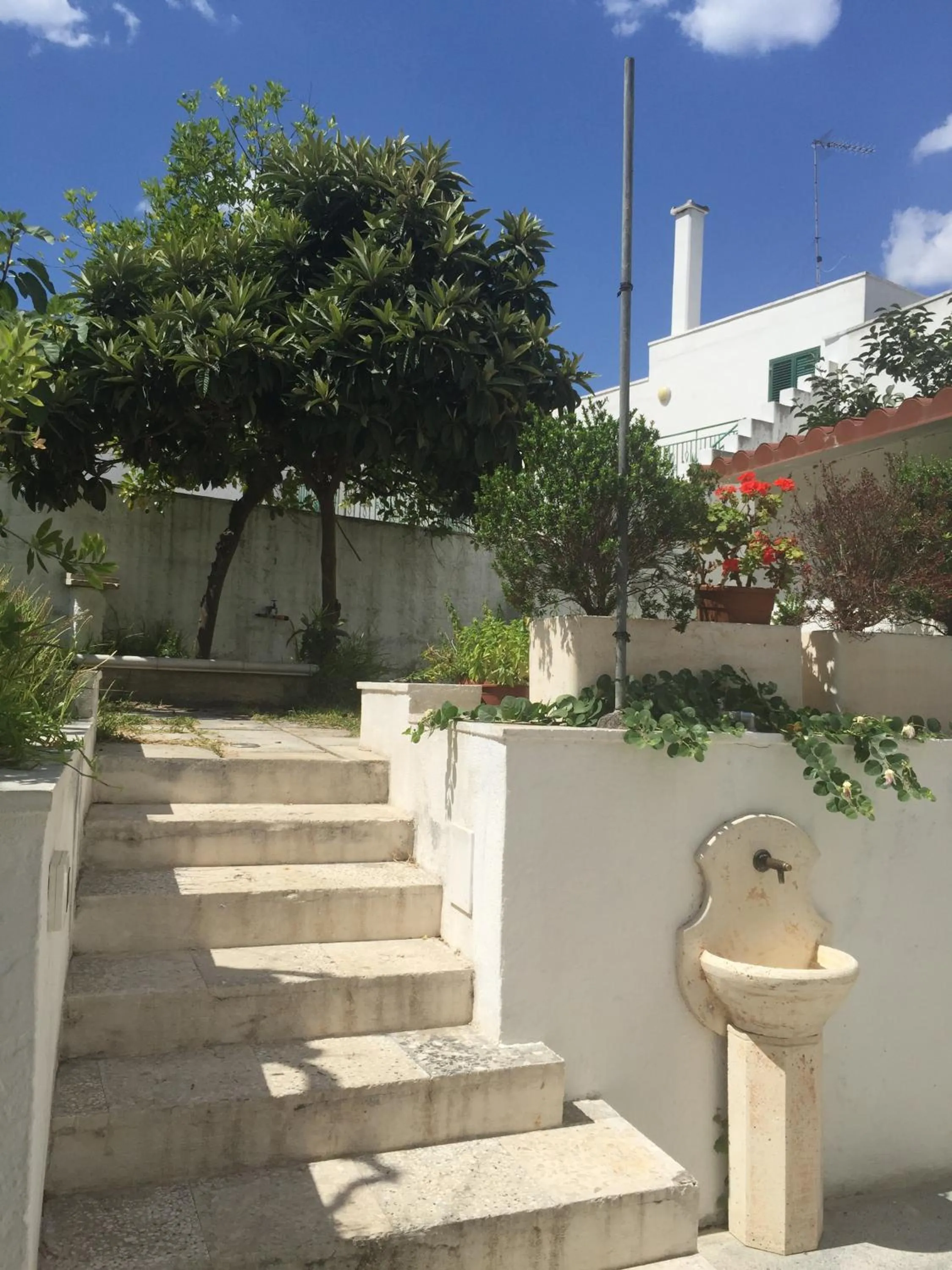 Garden in Affittacamere Room and Breakfast Antonuccio