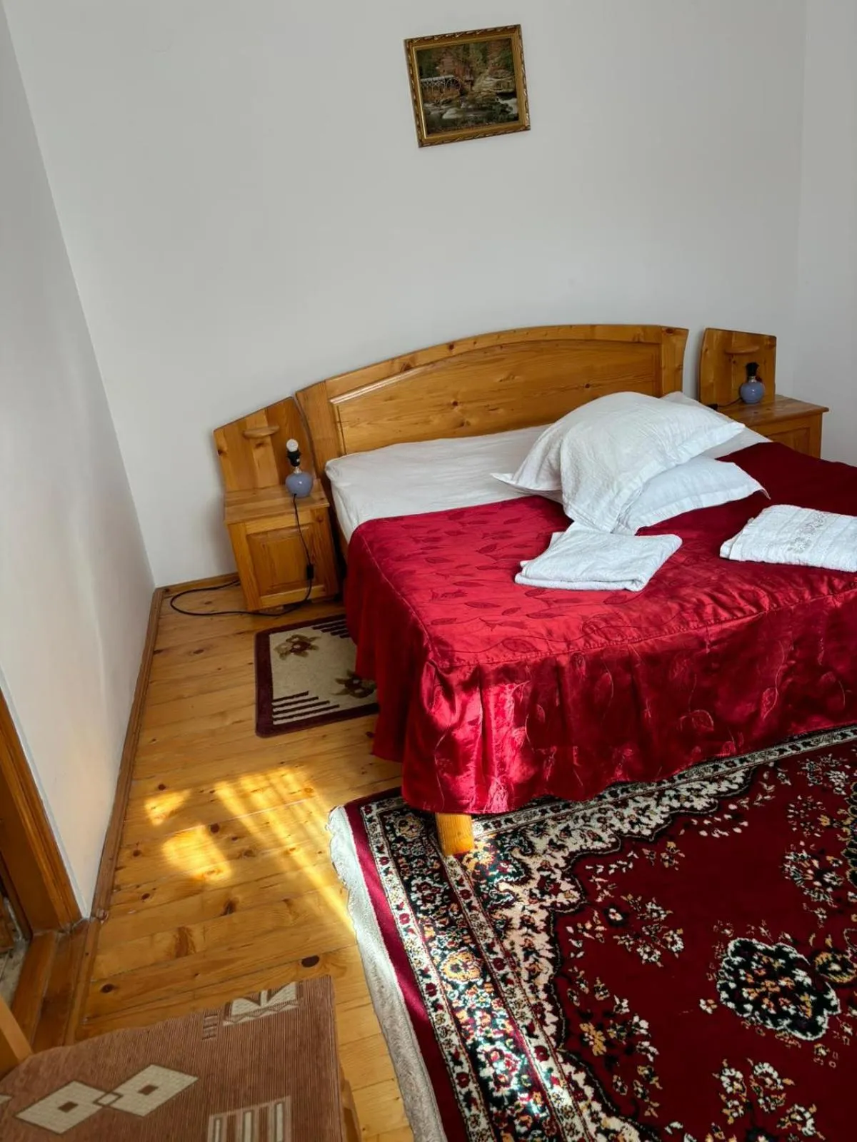 Bed in Pensiunea Luminita