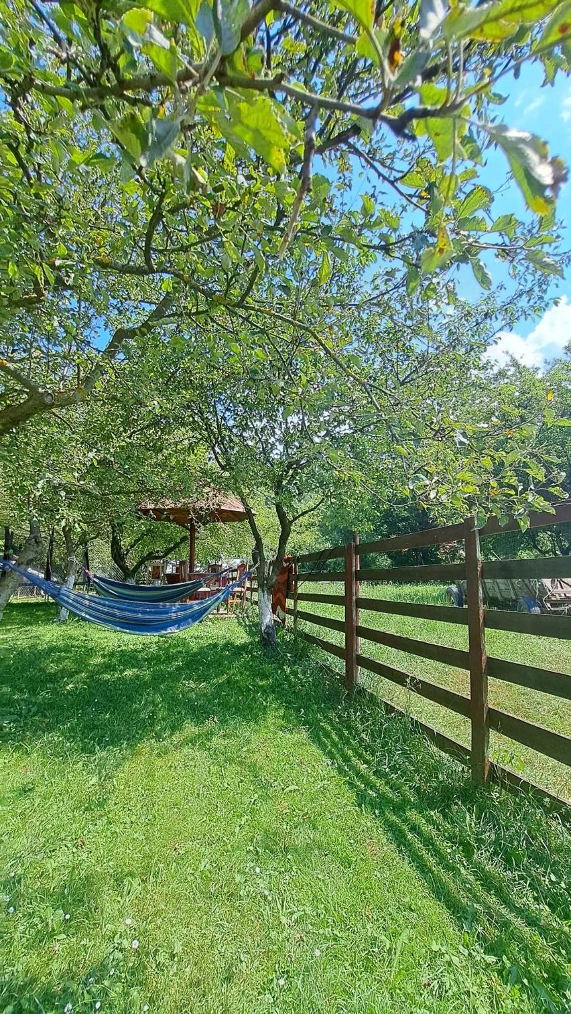 Spring in Pensiunea Luminita