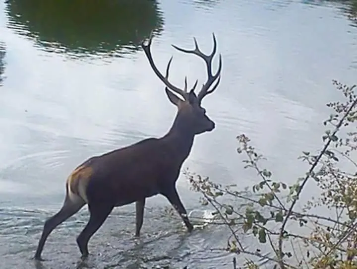 Hotel Palacio Guzmanes