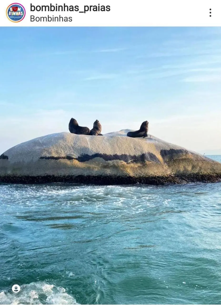 Tainha da Praia Aparthotel