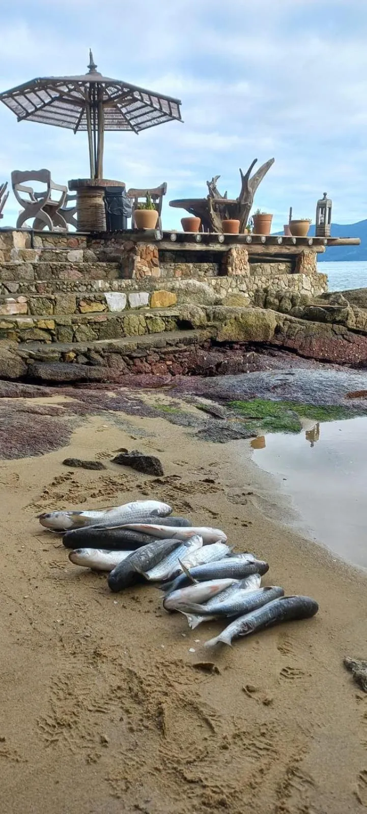 Tainha da Praia Aparthotel