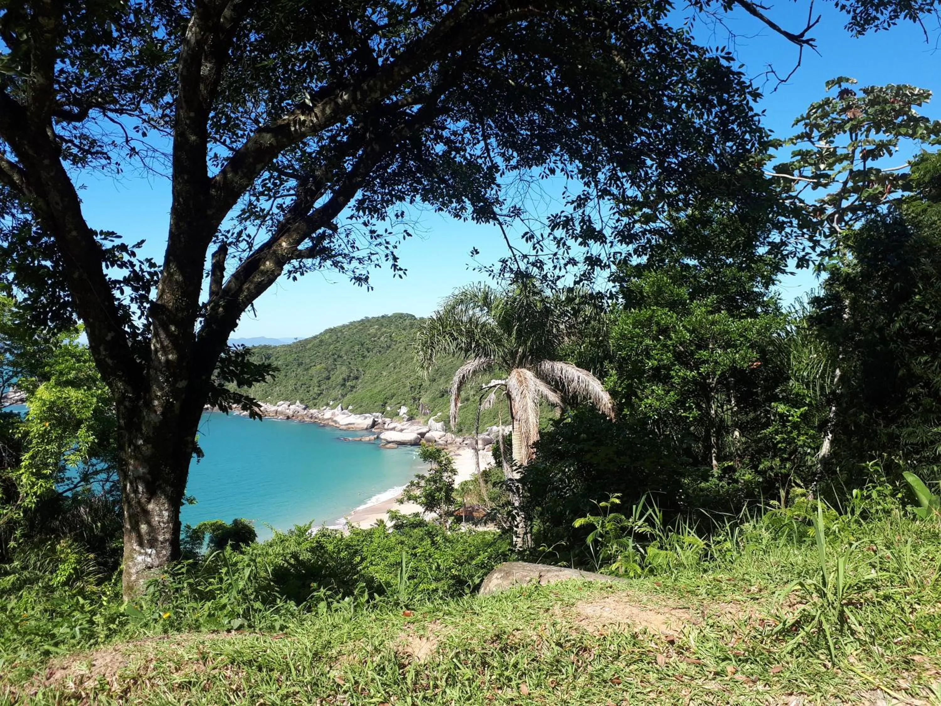 Natural landscape in Tainha da Praia Aparthotel