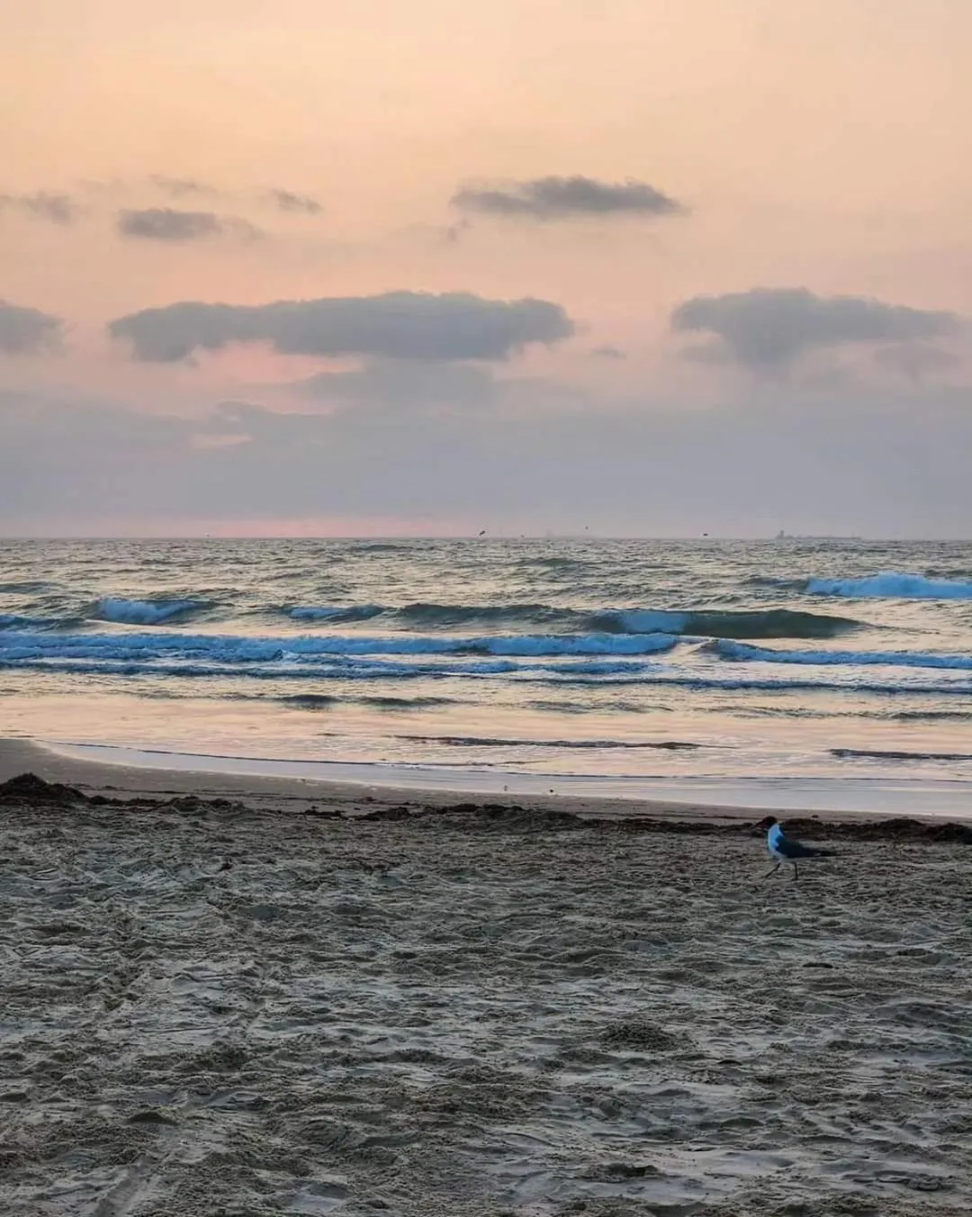Beach in Holiday Inn Resort South Padre Island-Beach Front by IHG