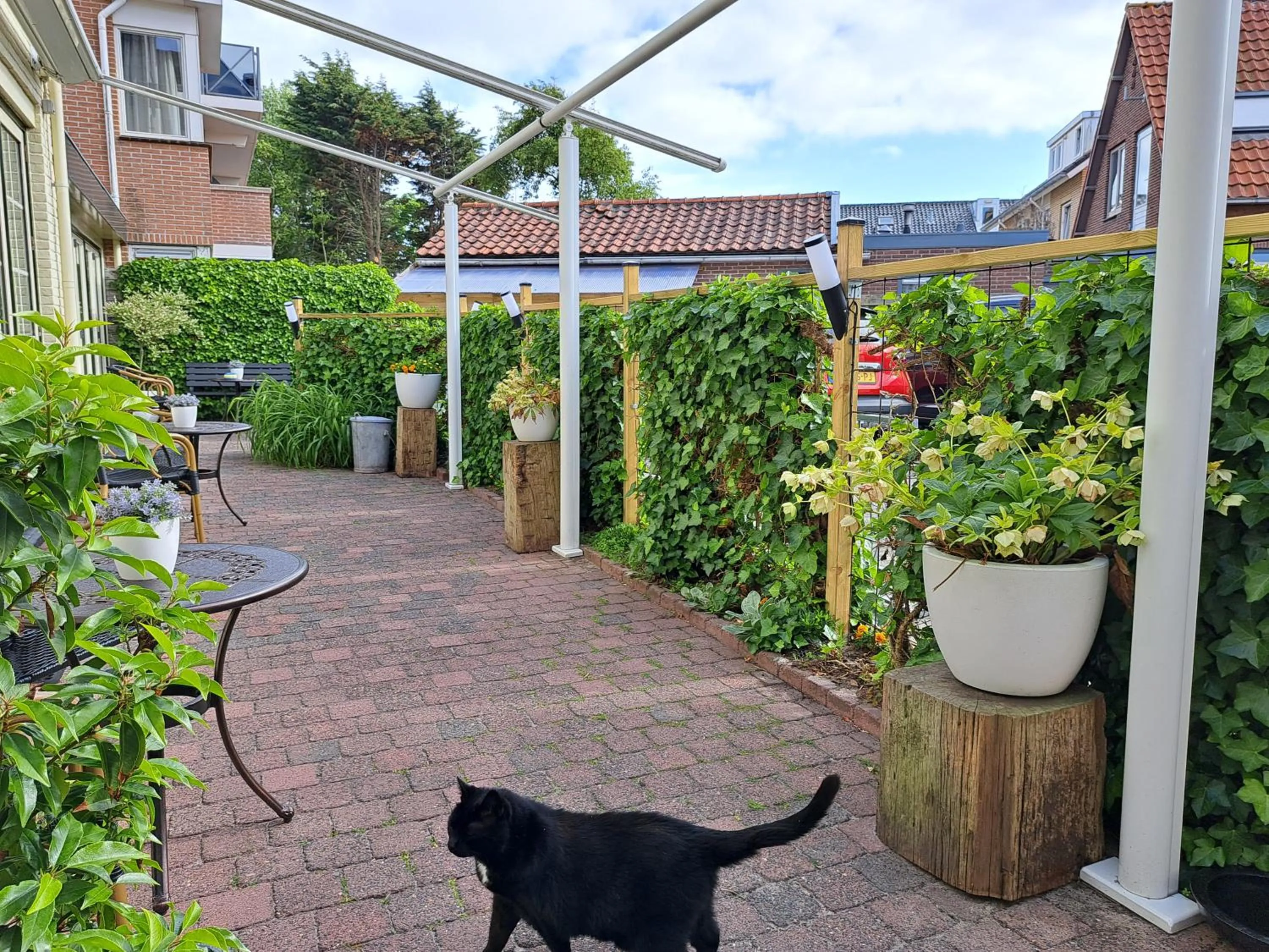 Garden in Hotel Het Gouden Boltje