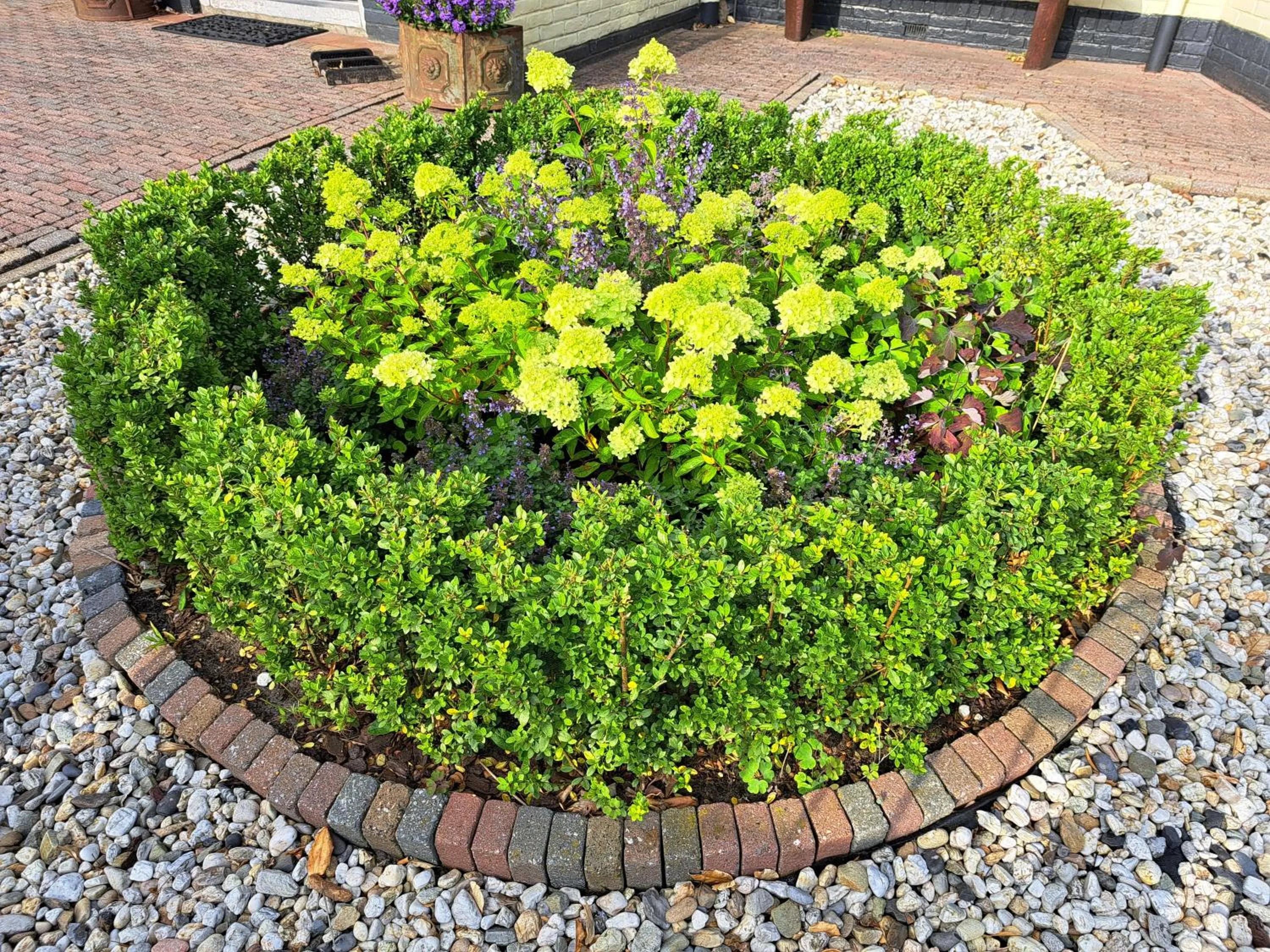Garden in Hotel Het Gouden Boltje
