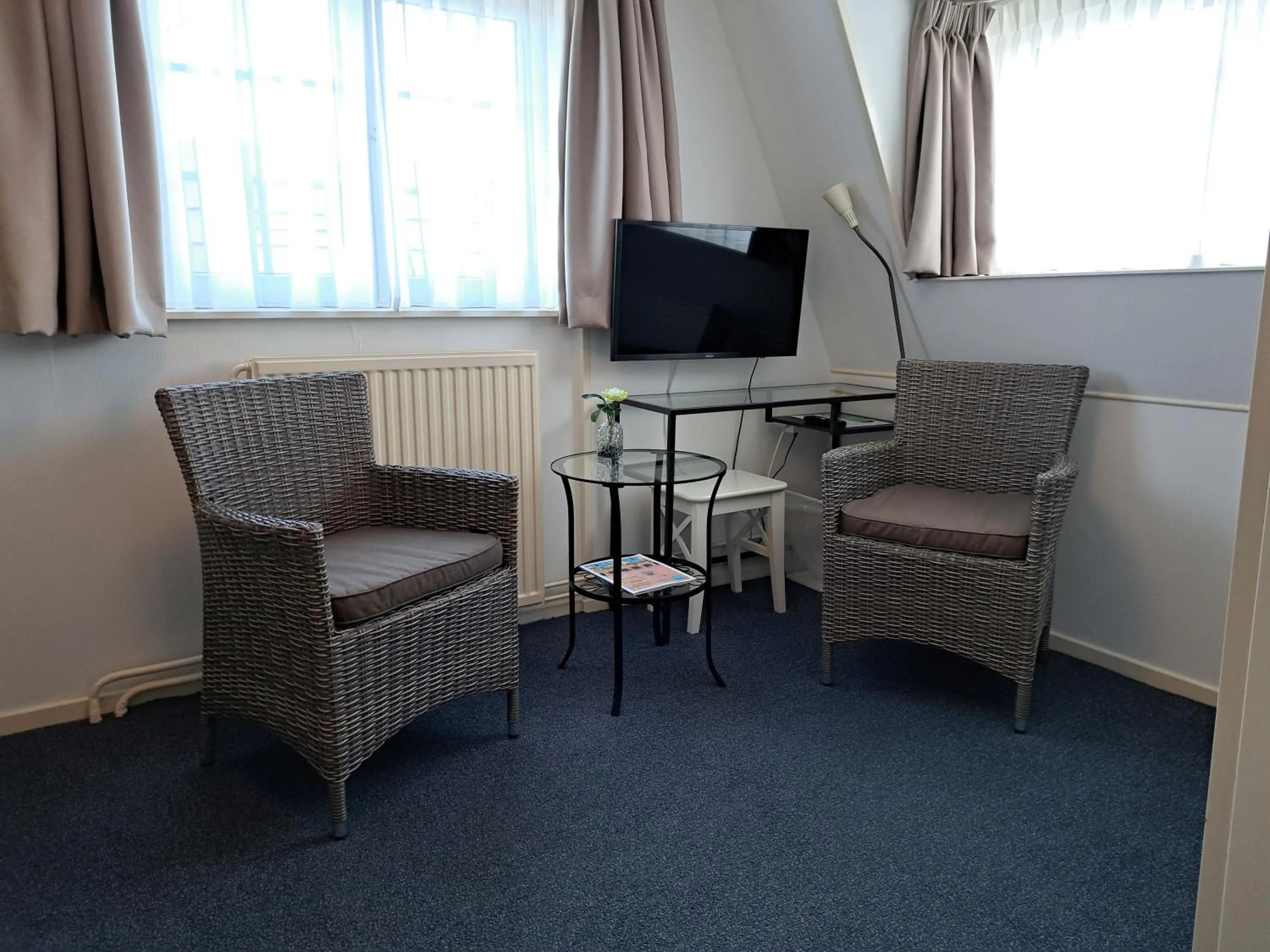 TV and multimedia in Hotel Het Gouden Boltje