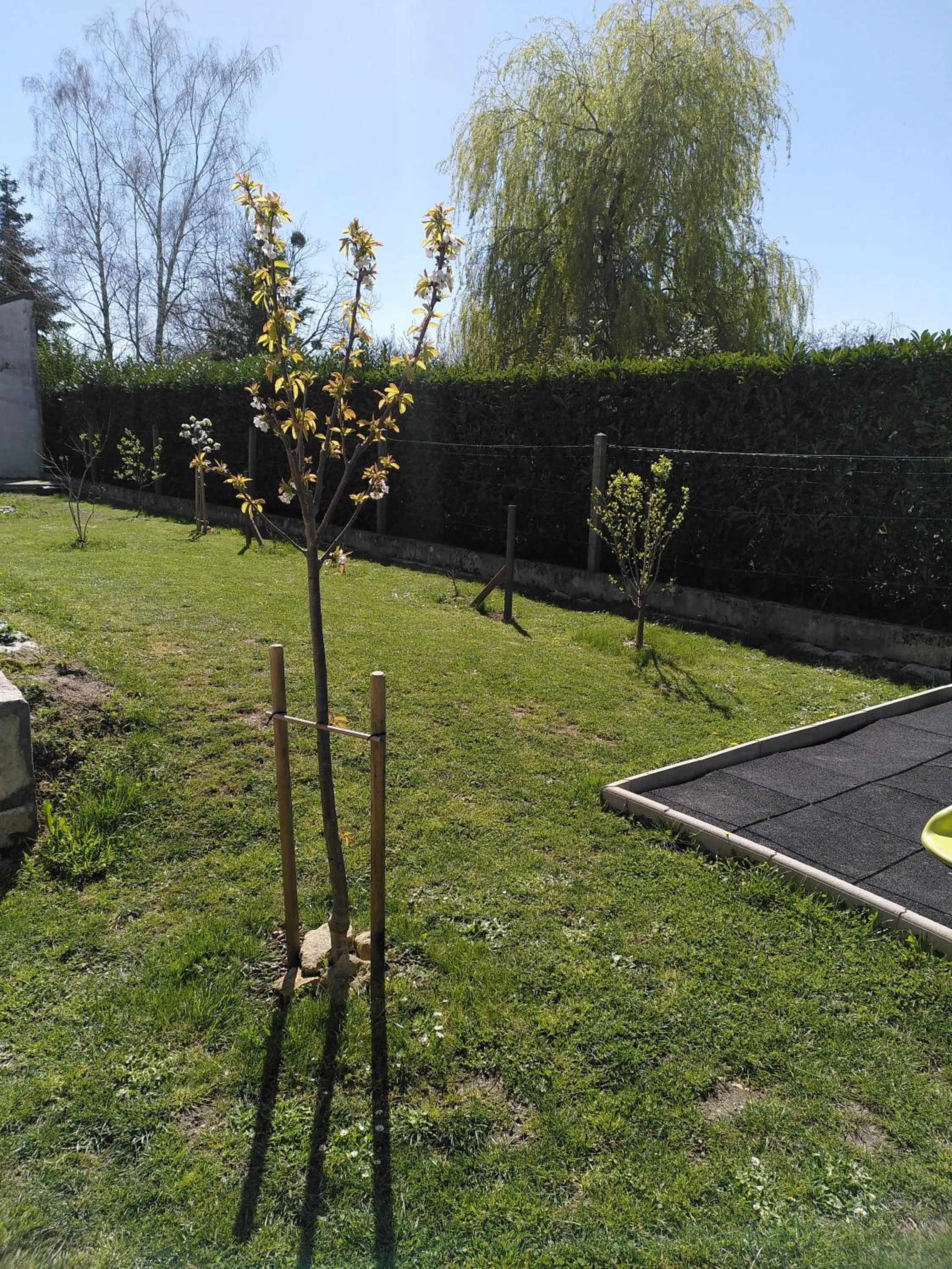 Garden view in Au fil du temps