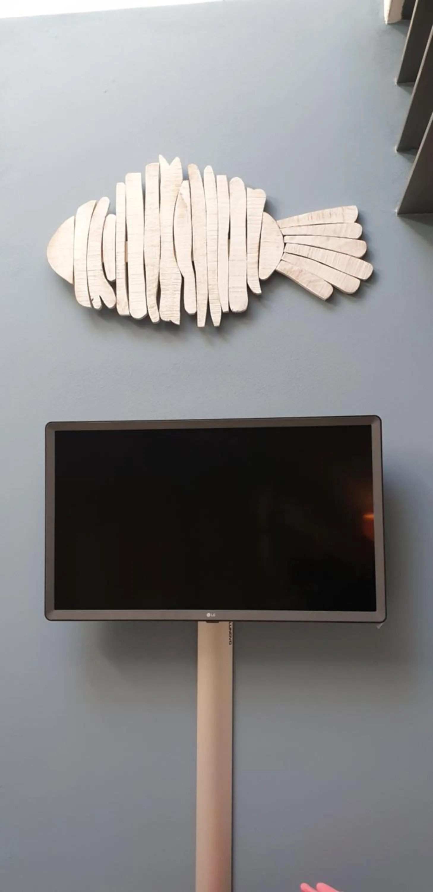 TV and multimedia in 150 LatoMare