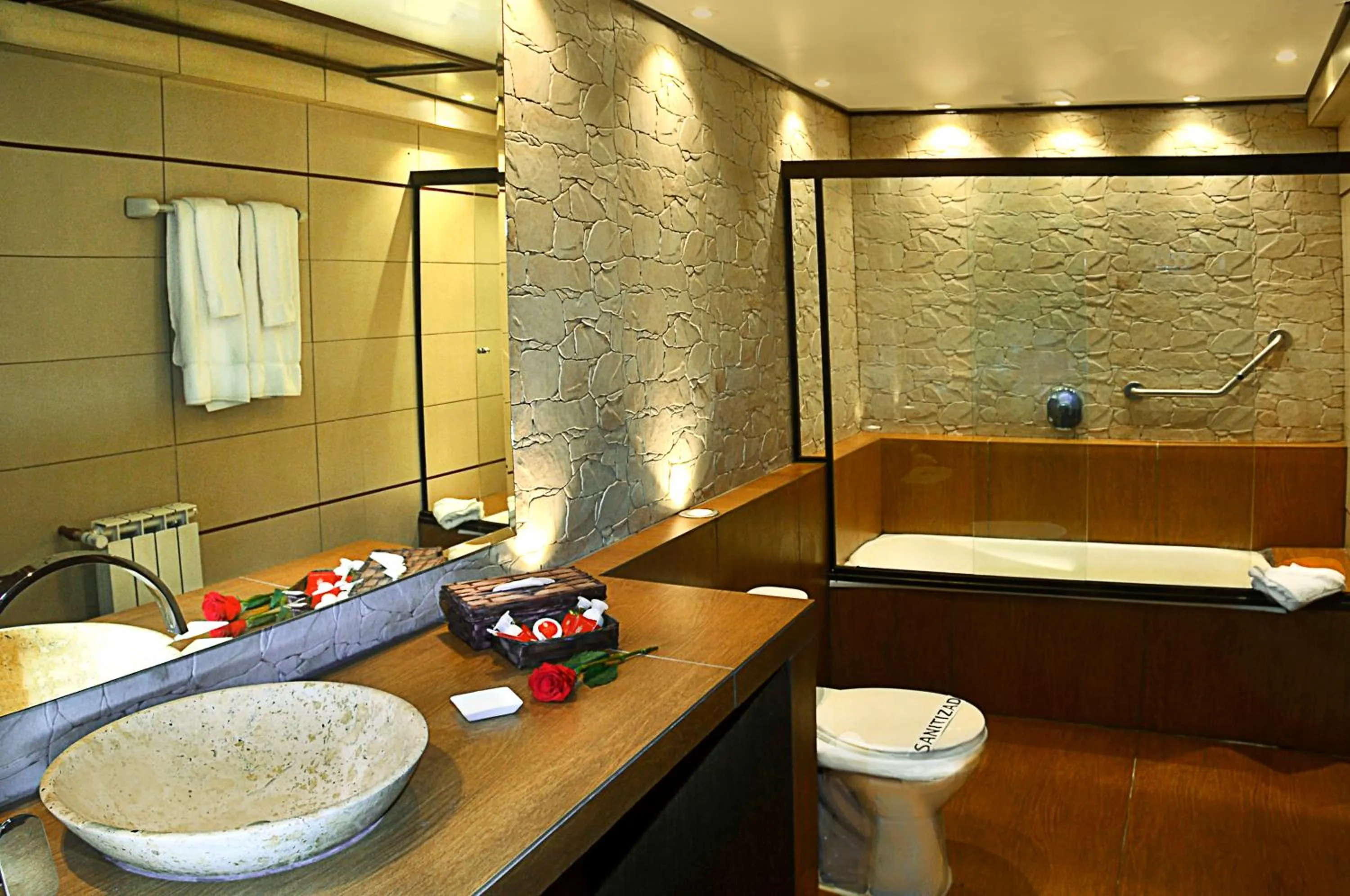 Bathroom in Hotel Palacio de Sal