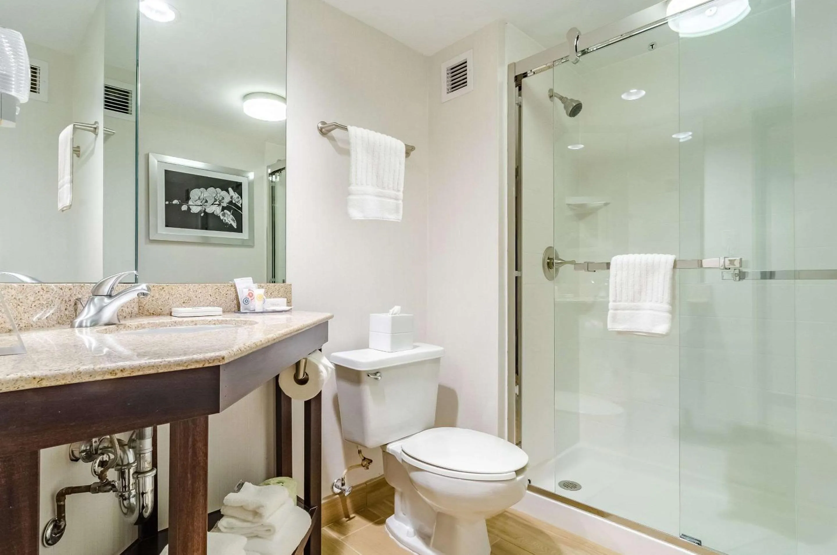 Bedroom in Comfort Inn Raleigh Midtown