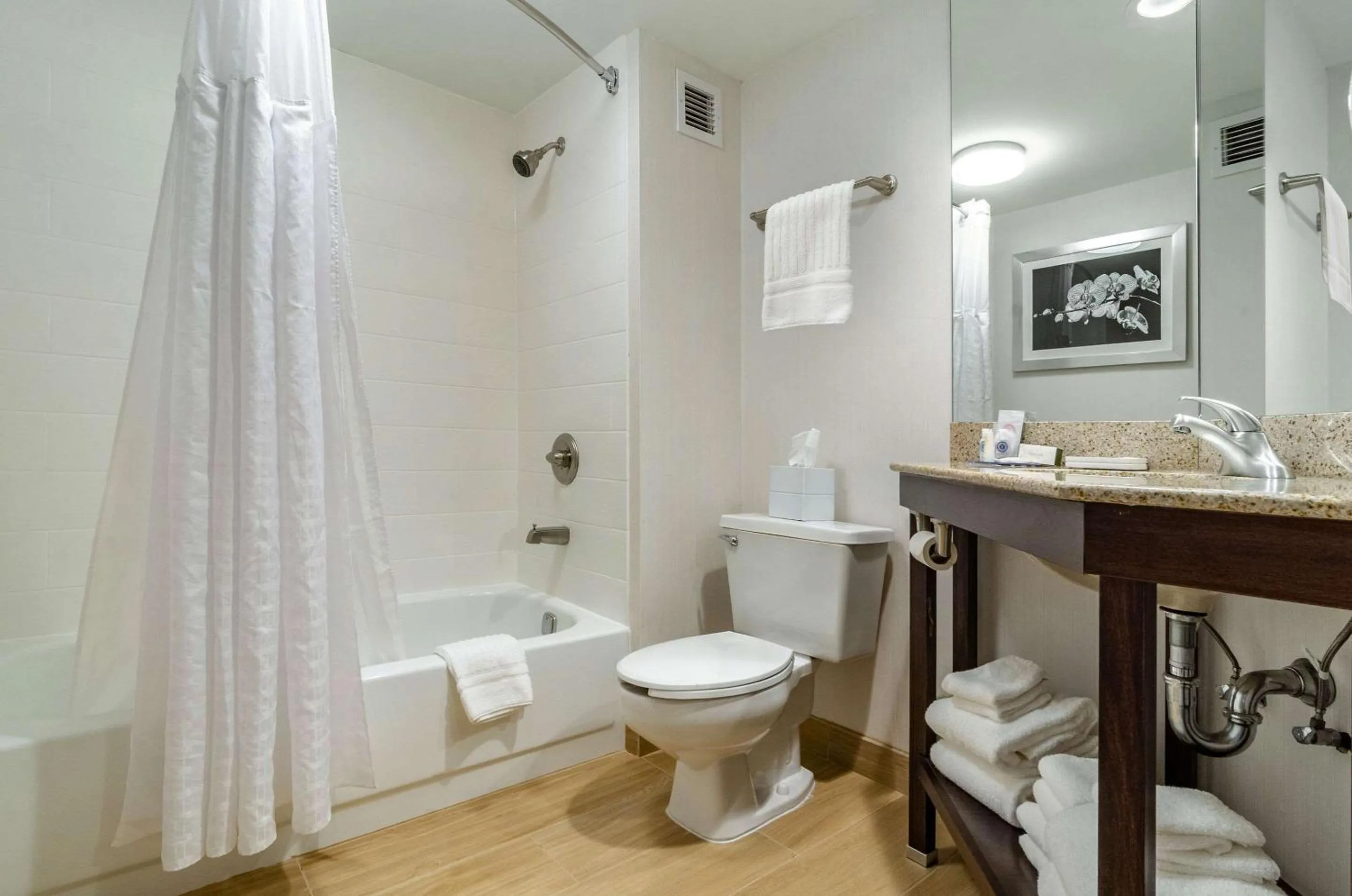 Bedroom in Comfort Inn Raleigh Midtown