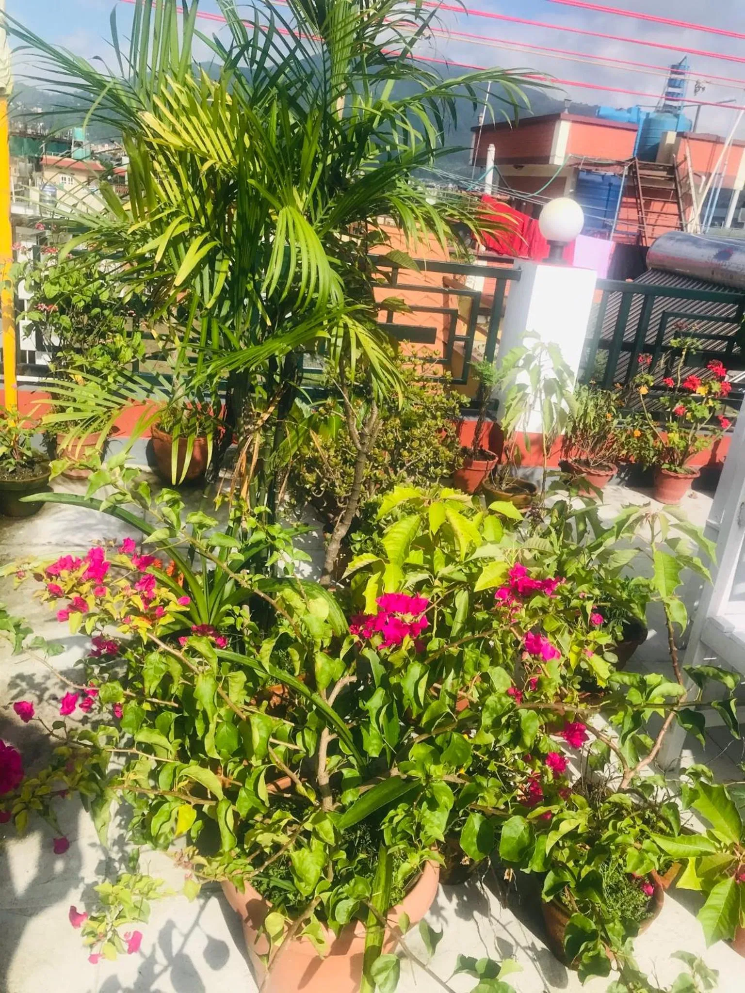 Blue Mountain Home Stay