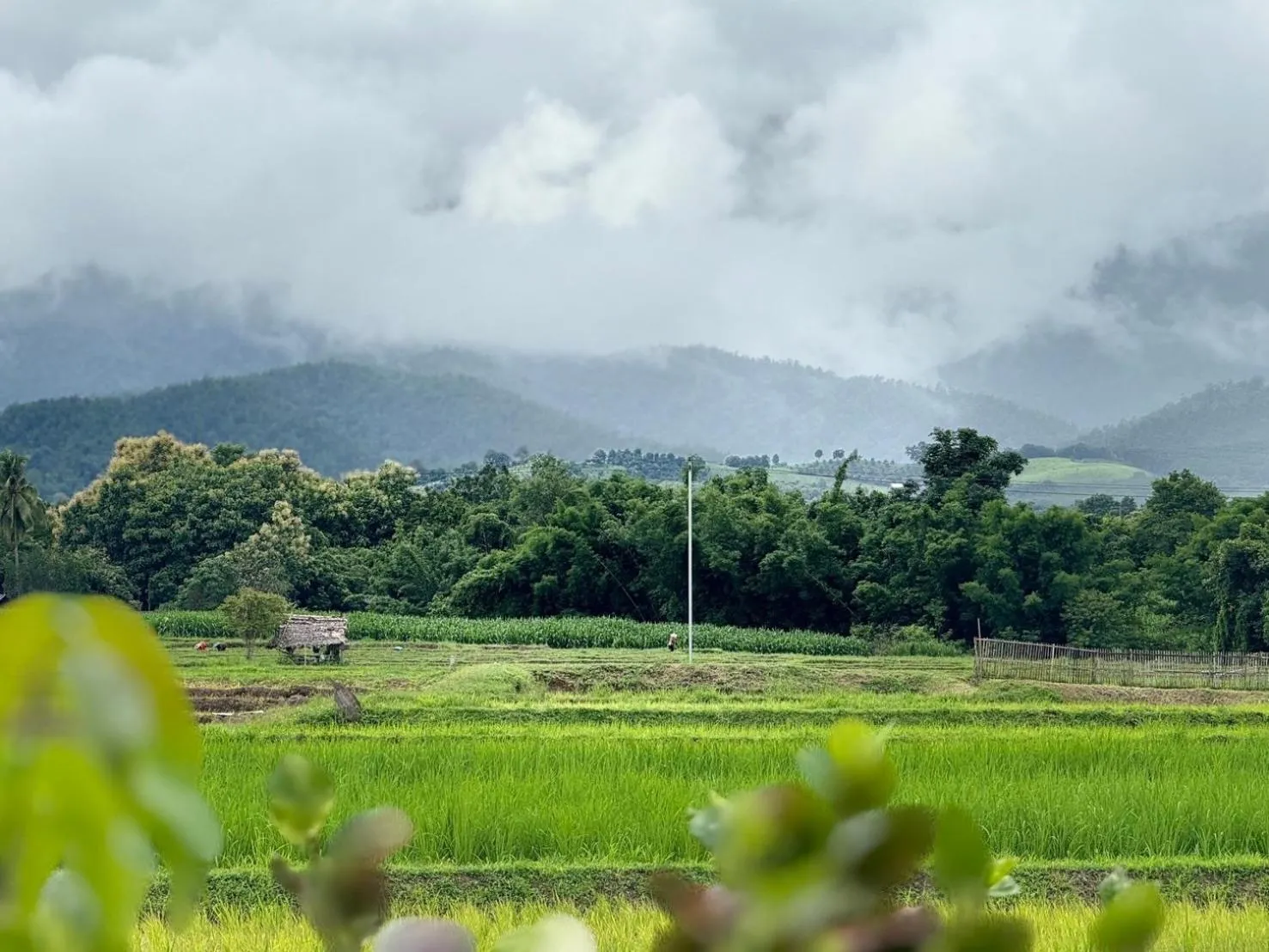 View (from property/room) in Sirita