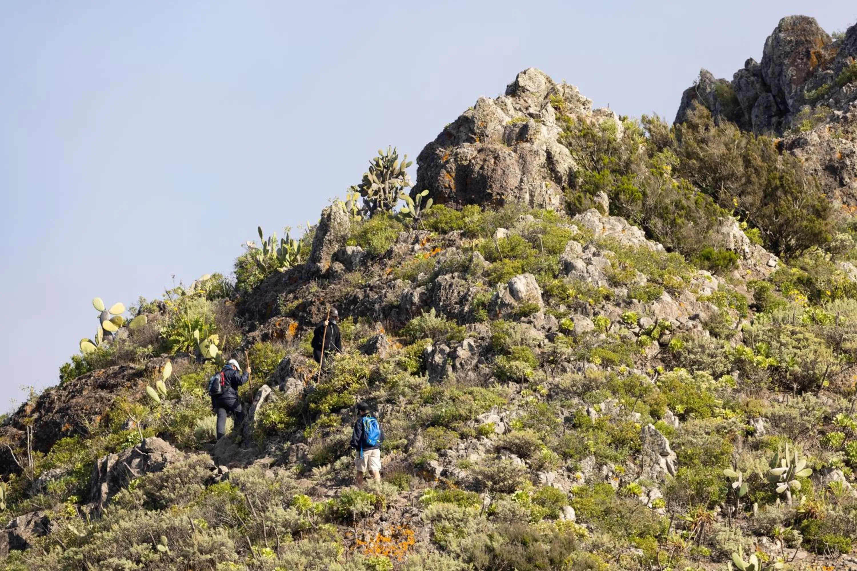 Nearby landmark in Tabaiba Guesthouse