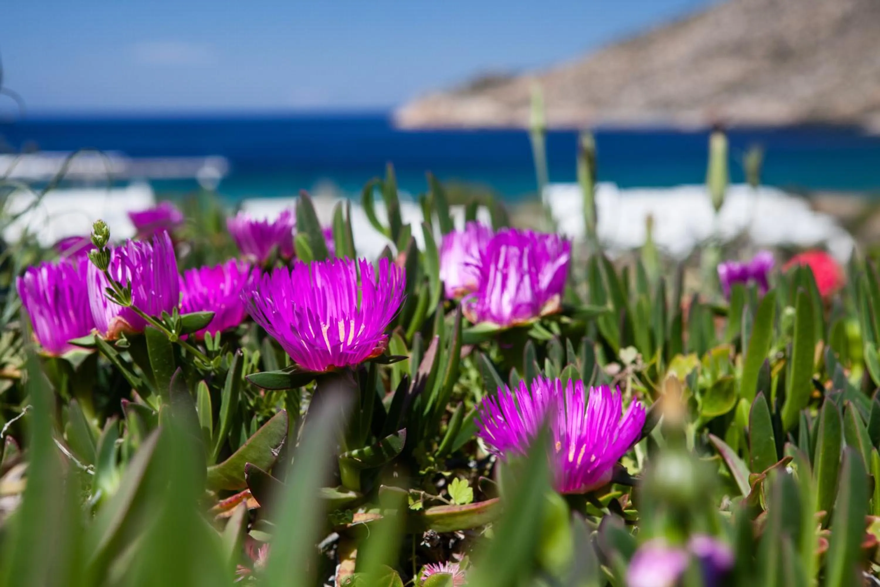 View (from property/room) in Xerolithia