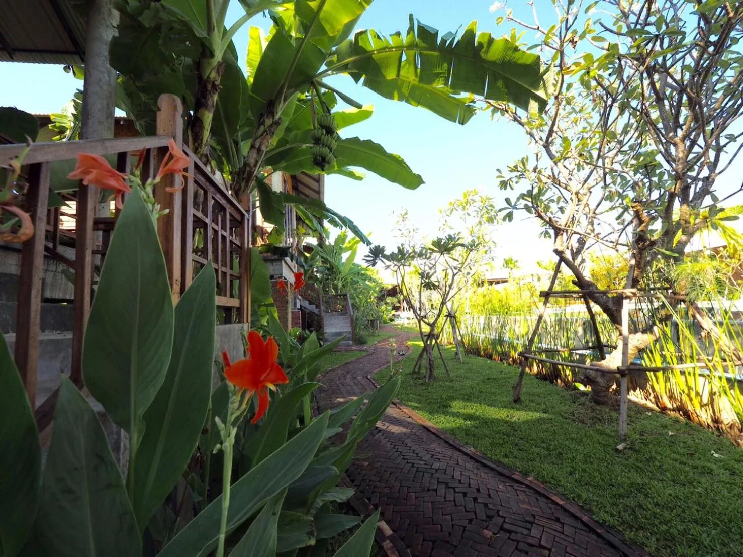 Natural landscape in BaanSuk Sukhothai Resort