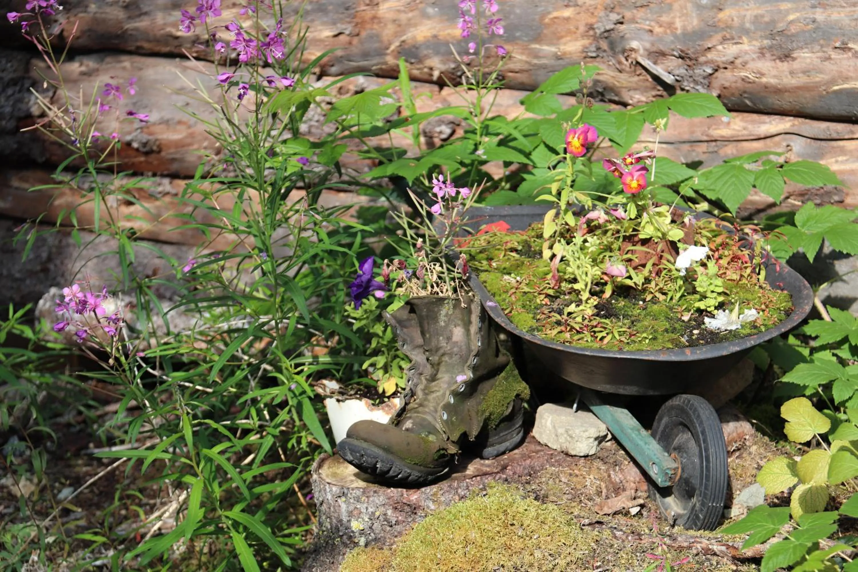 Blackburn Cabins - McCarthy, Alaska