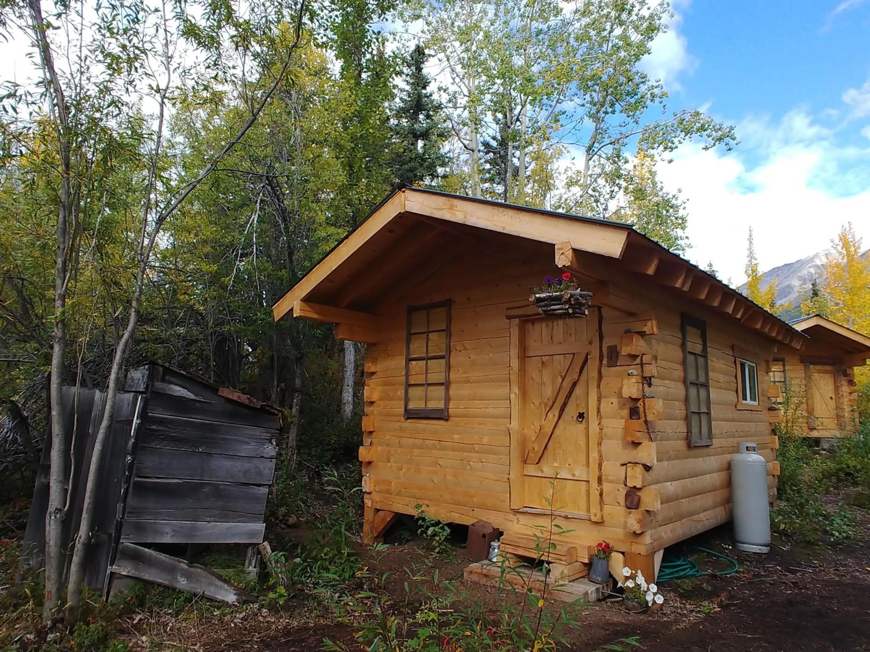 Blackburn Cabins - McCarthy, Alaska