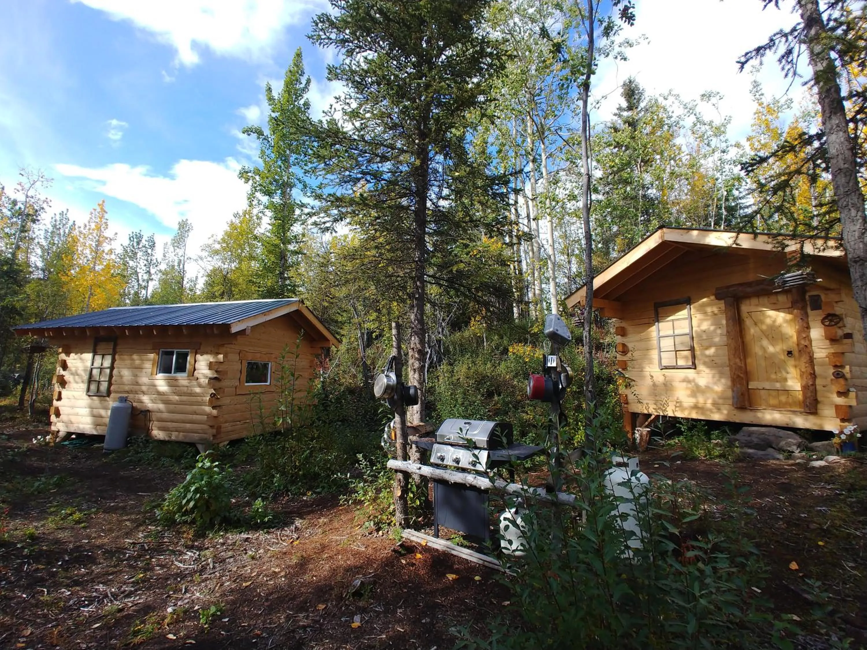 Blackburn Cabins - McCarthy, Alaska
