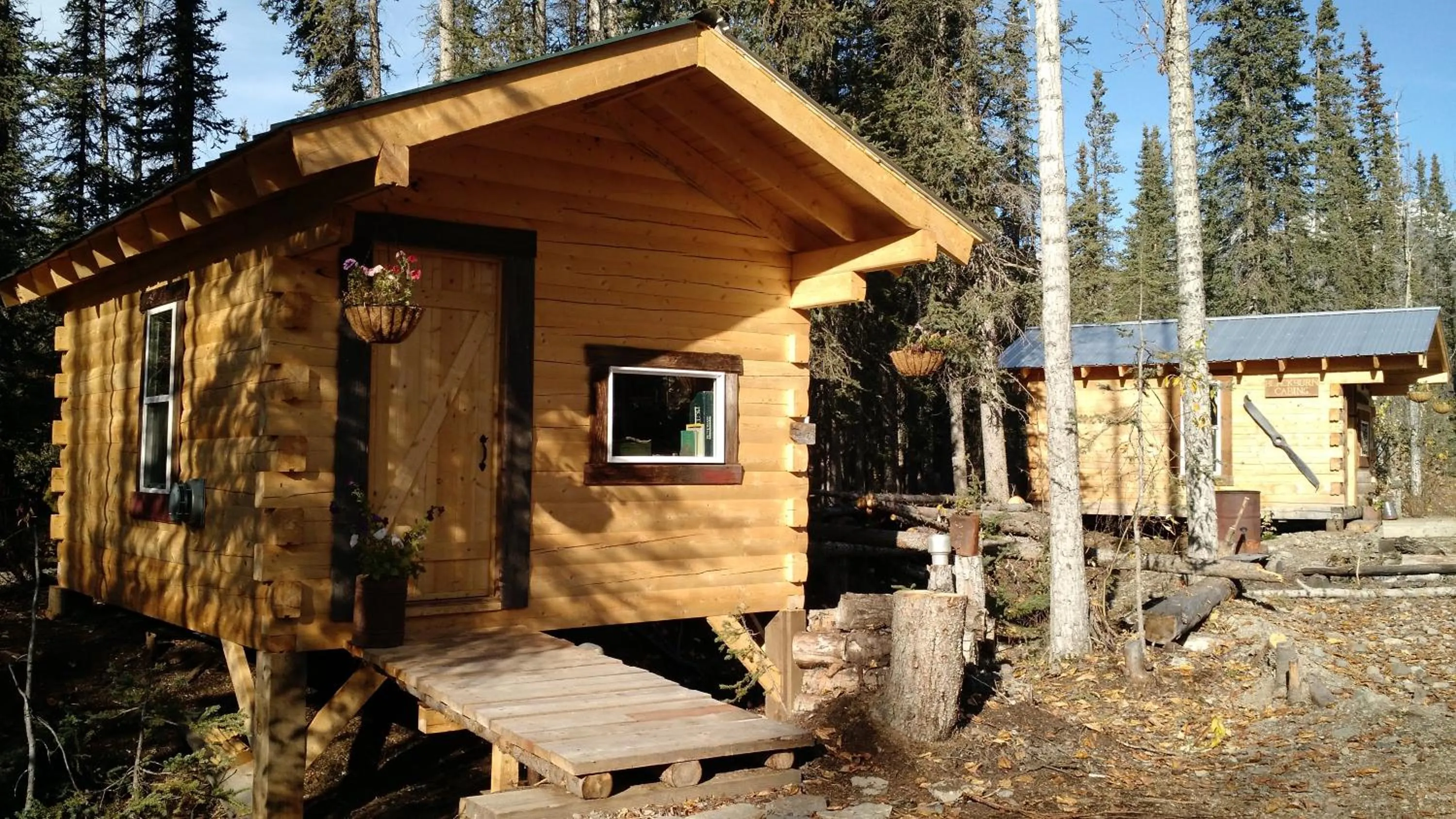 Blackburn Cabins - McCarthy, Alaska