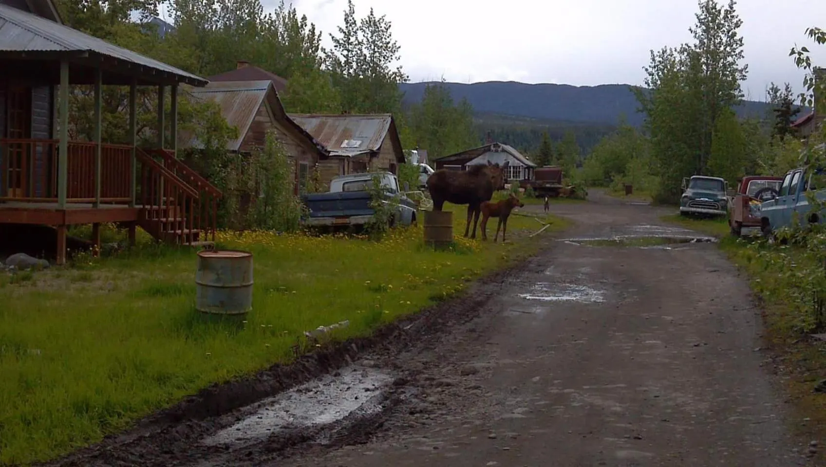 Blackburn Cabins - McCarthy, Alaska