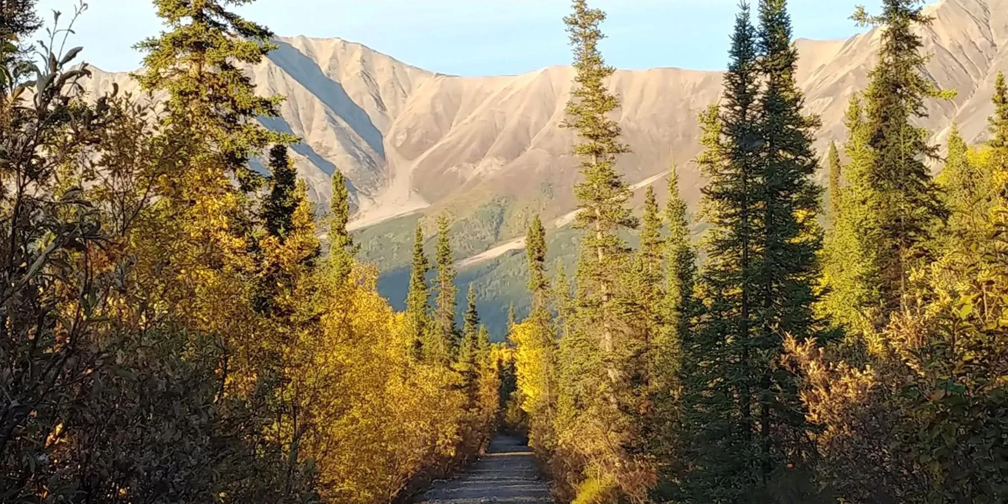 Blackburn Cabins - McCarthy, Alaska