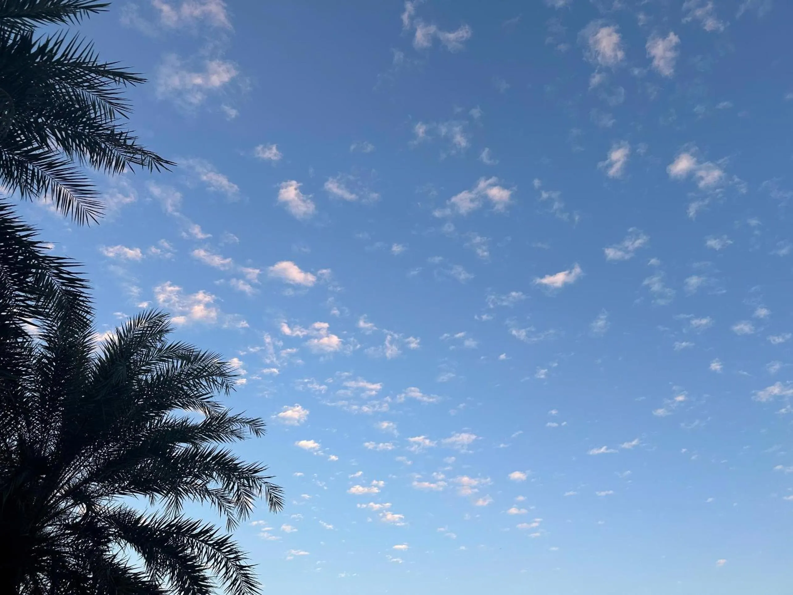 Inner courtyard view in DIC Star Hotels & Resorts Vinh Phuc