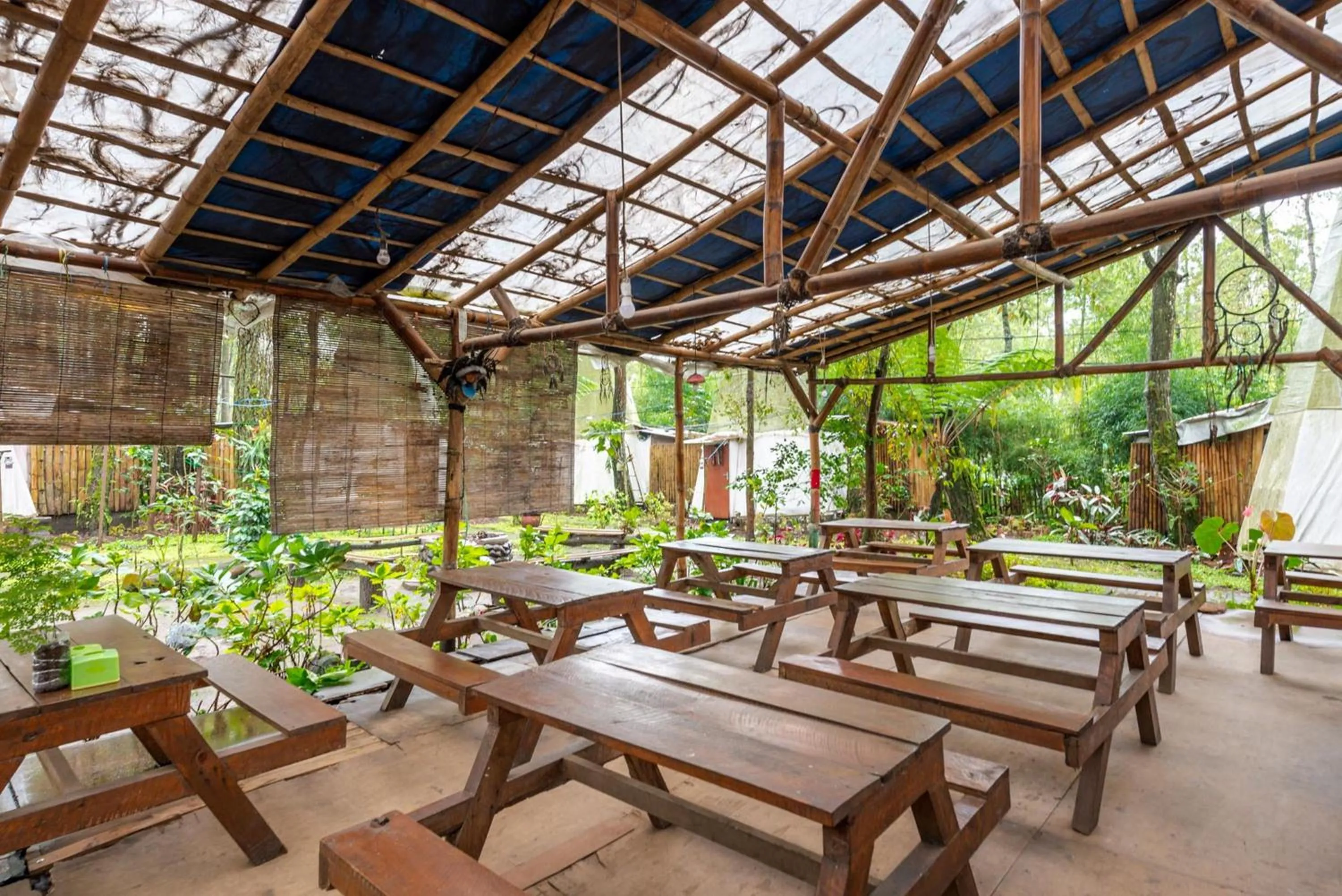 RedDoorz @ Apache Camp