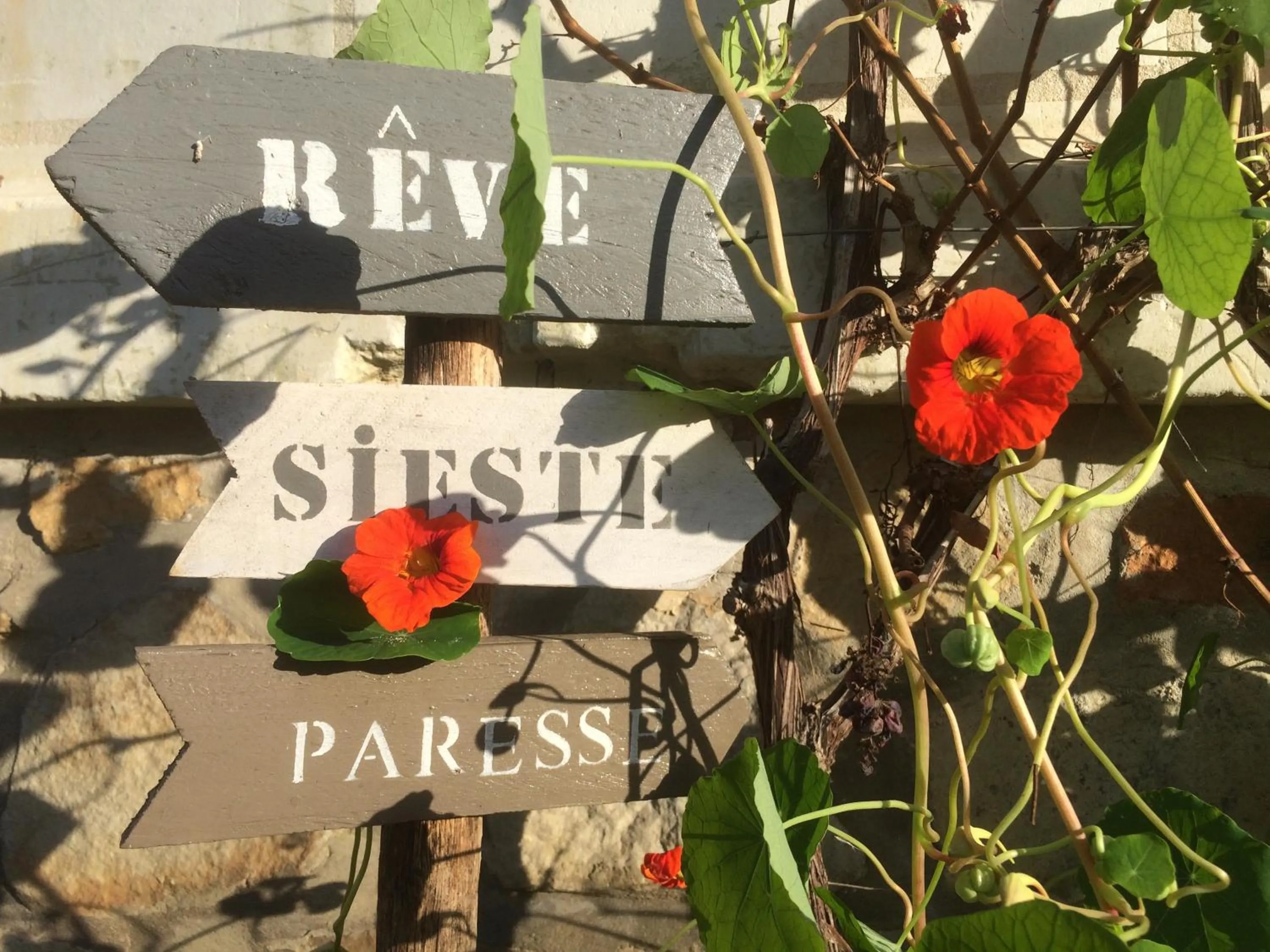 Time of day in Domaine de Joreau