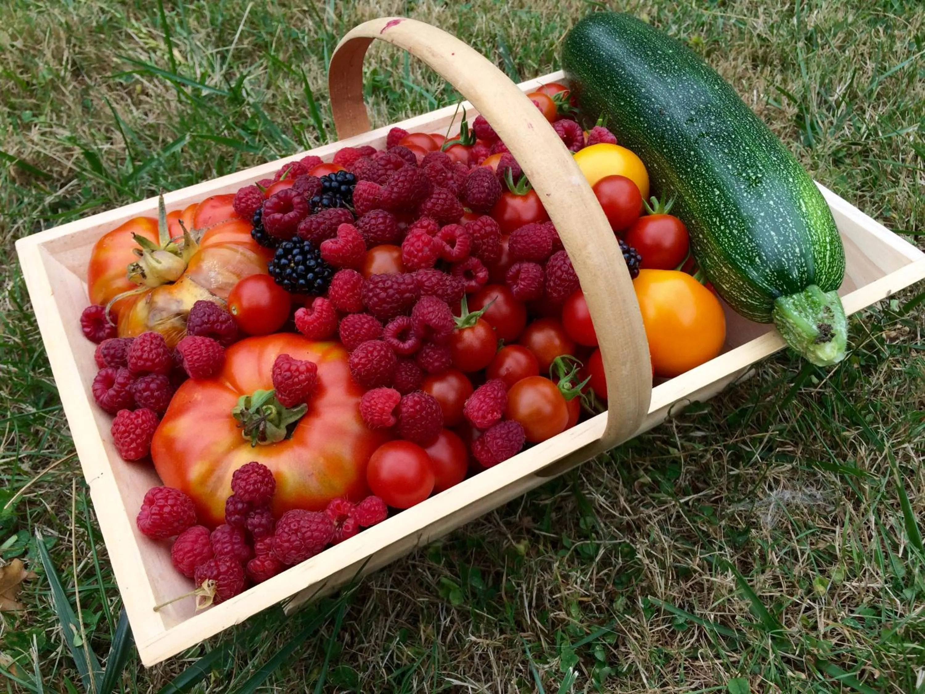 Food close-up in Domaine de Joreau