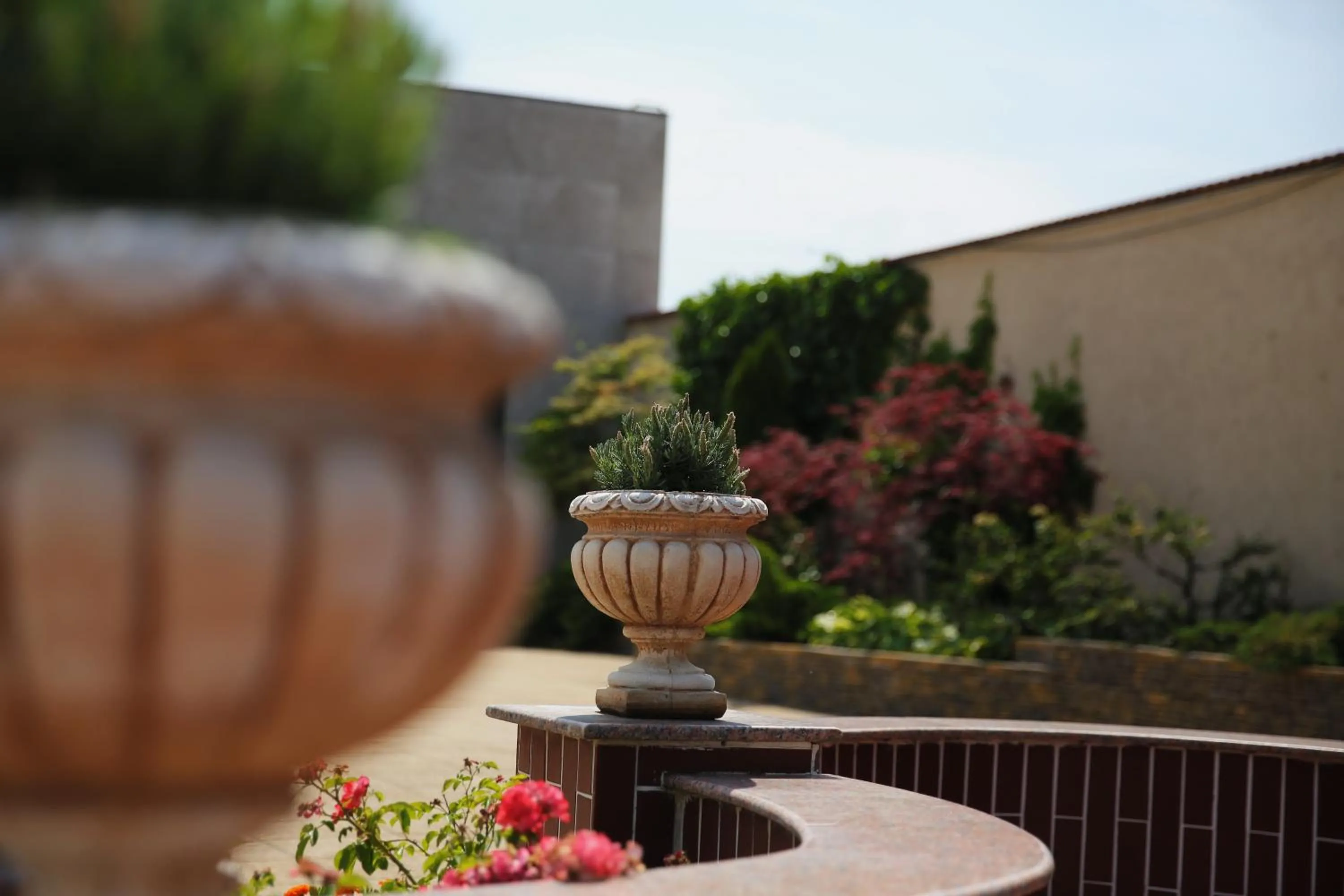 Natural landscape in Valentino Rooms