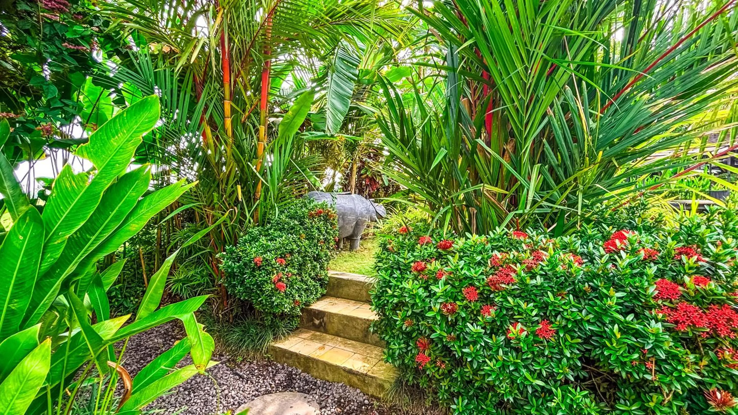 Natural landscape in Villa Alisha Pererenan Canggu